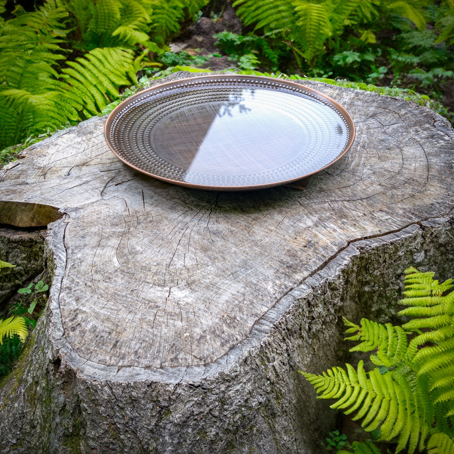 Good Directions BAS20 birdbaths - View #2
