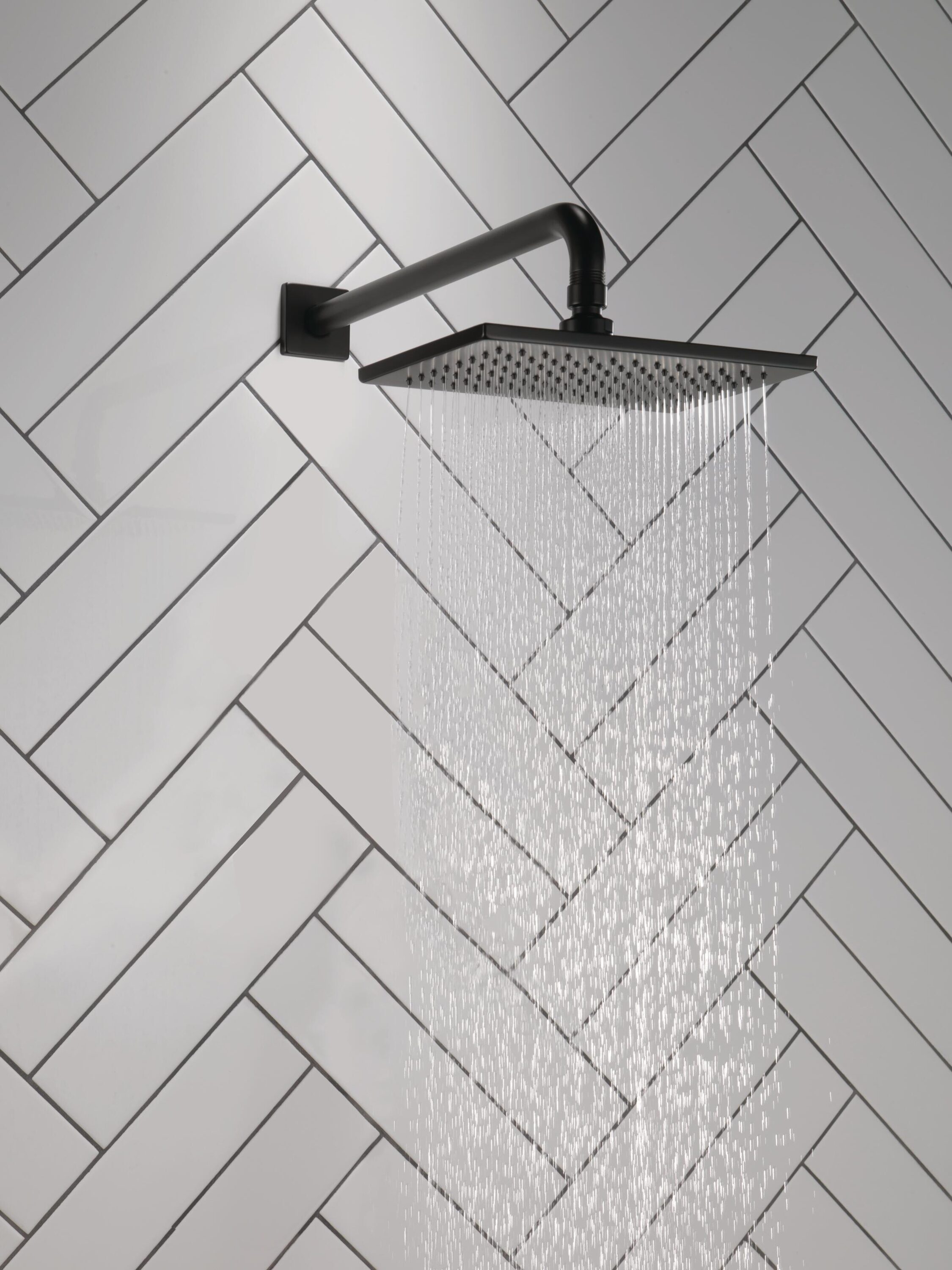Delta RP62955BL Fixed-Showerhead - View #2