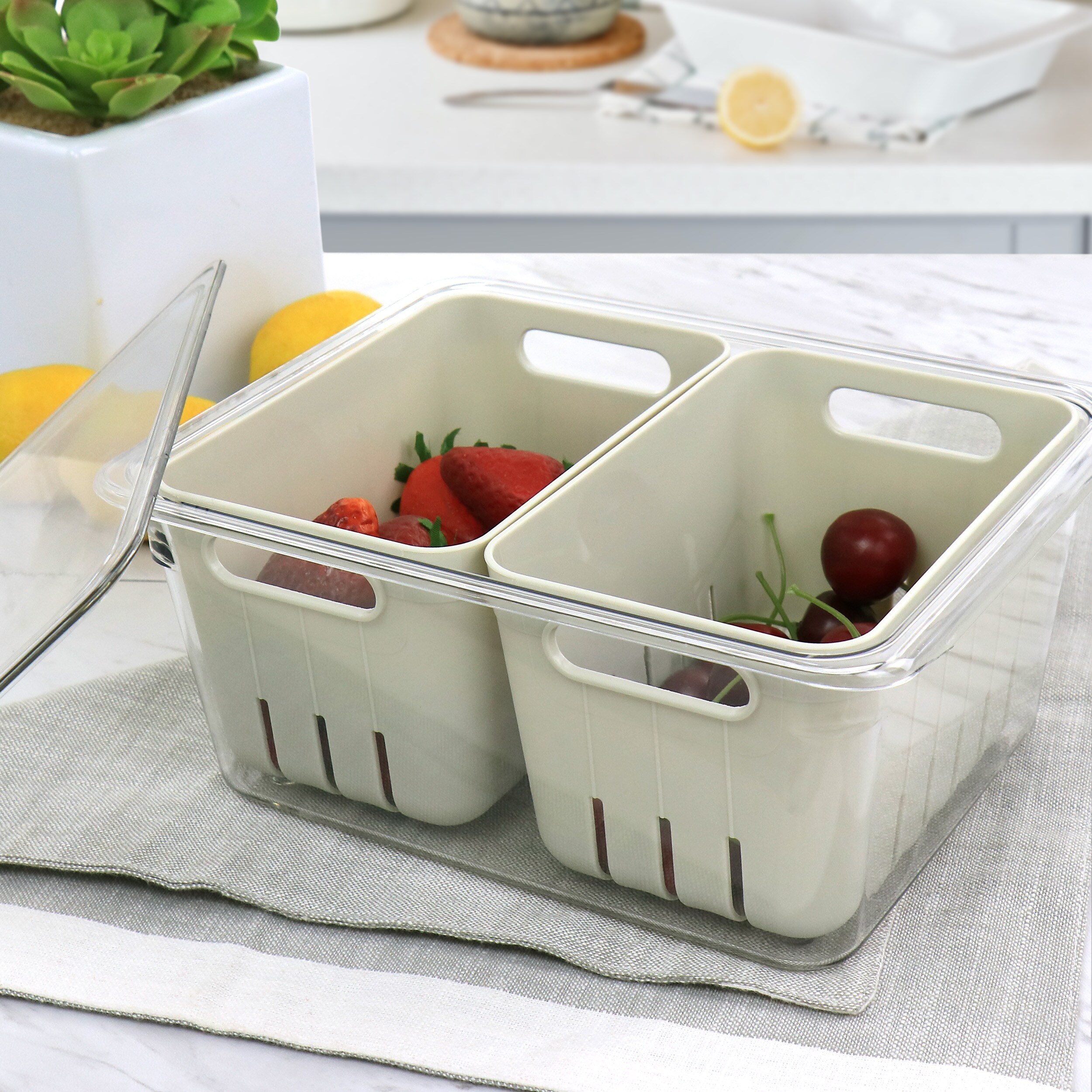 Martha Stewart 4-Pack Multisize Plastic Bpa-free Reusable Food Storage ...