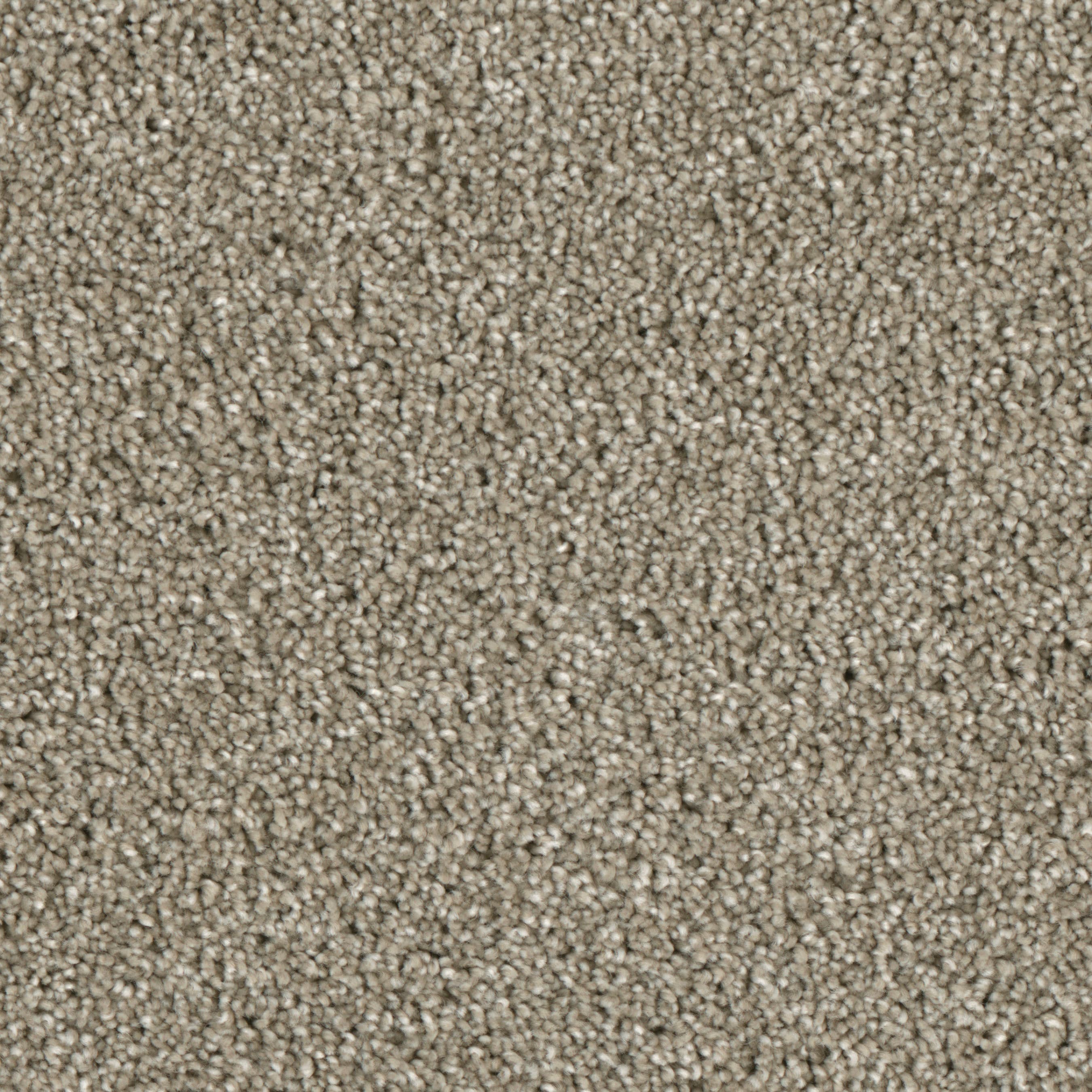 (Sample) Lenox Park Walking Trail Textured Indoor Carpet | - STAINMASTER S9255-911-S