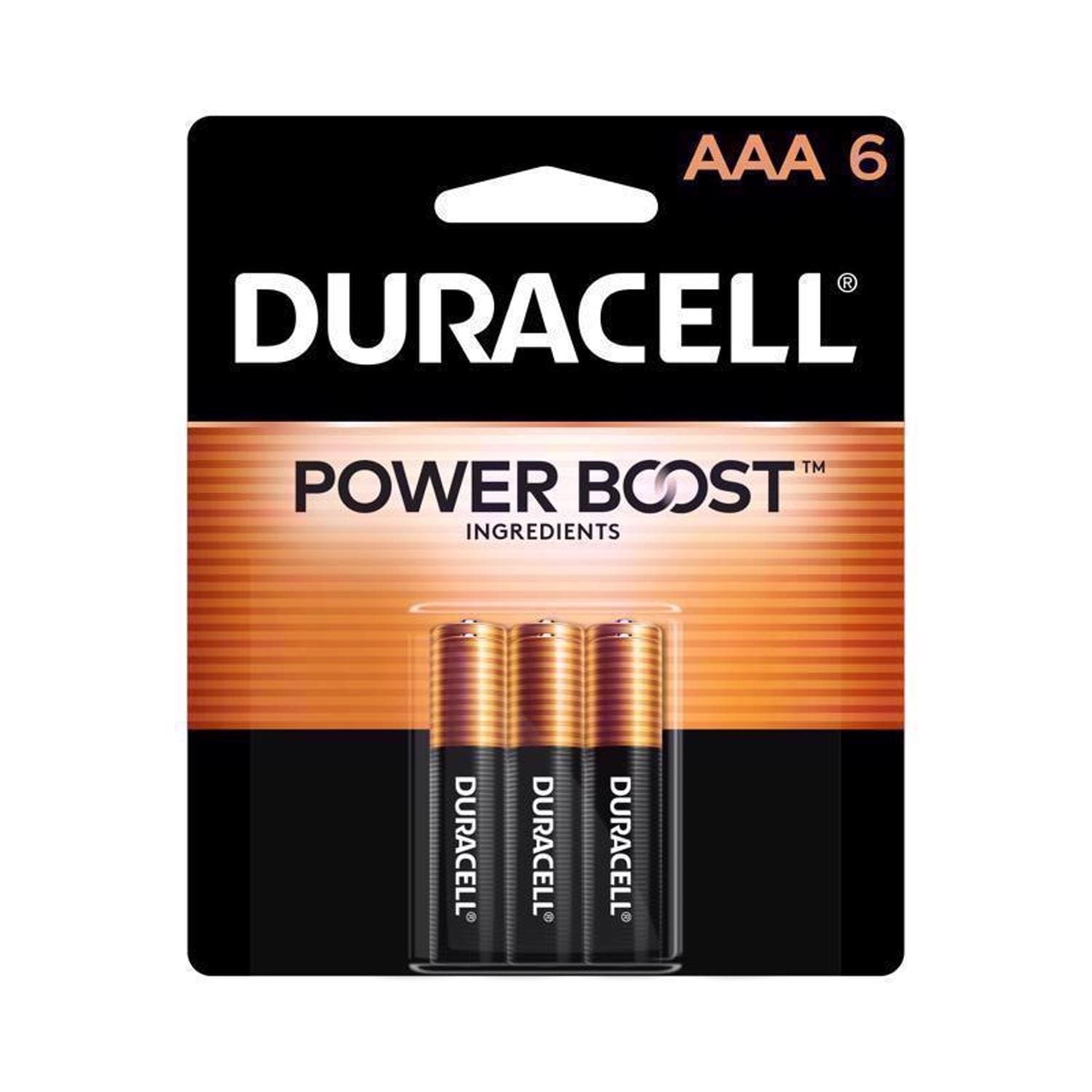 Duracell  Coppertop AAA Alkaline Batteries 6 pk Carded