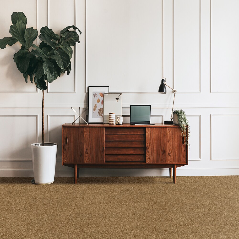 SS026-12-L005 Carpet-Panel - View #2