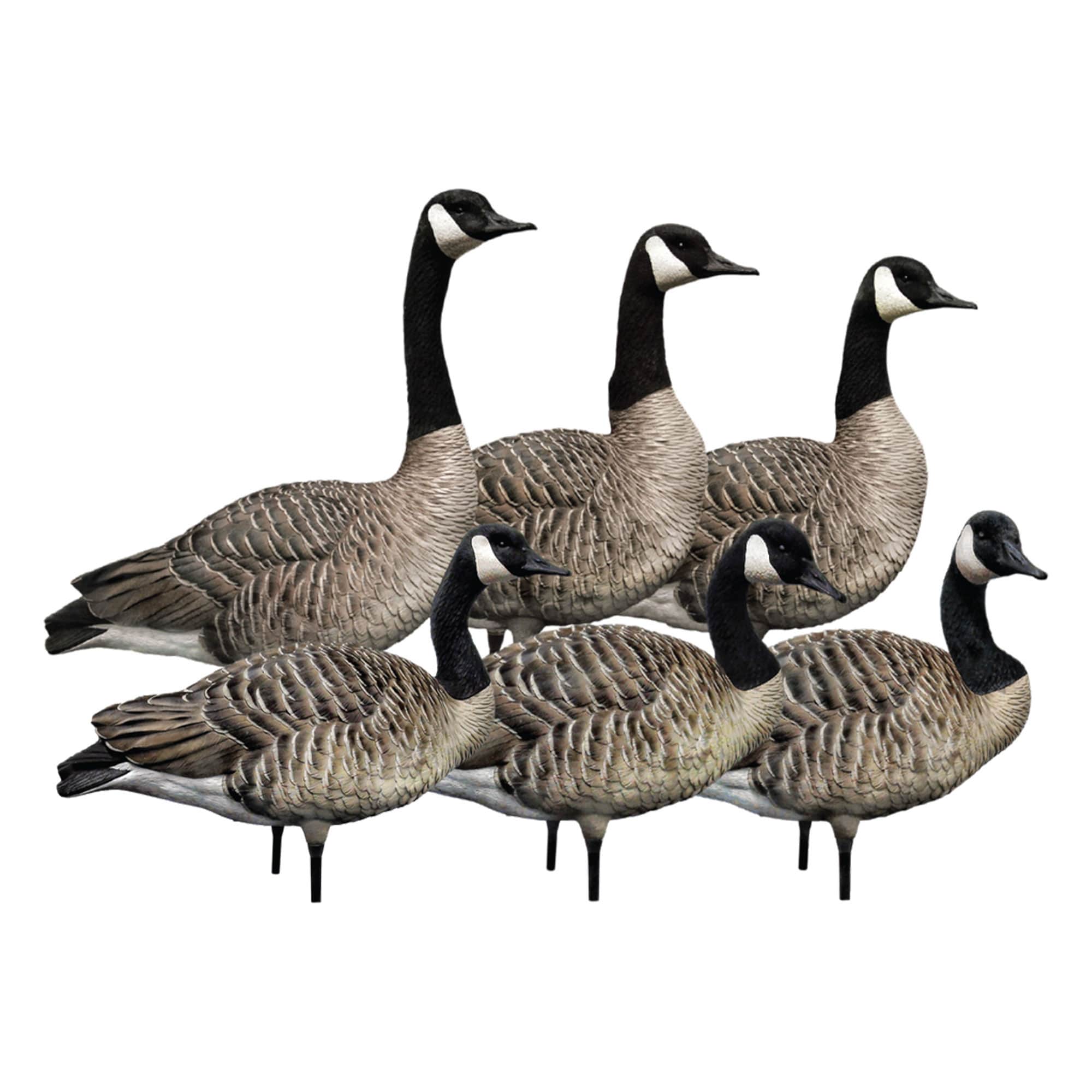  Avian X 408560 Hunting-Equipment - View #8