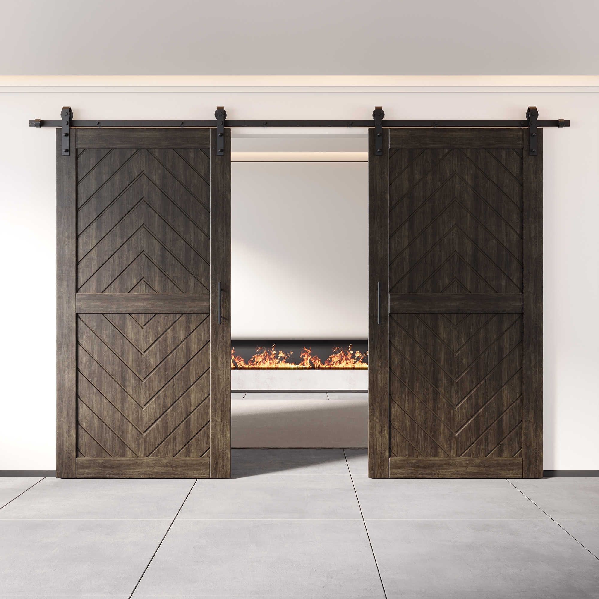 HOMACER YT2H168C-JT2-4080-EB Barn-Doors - View #8