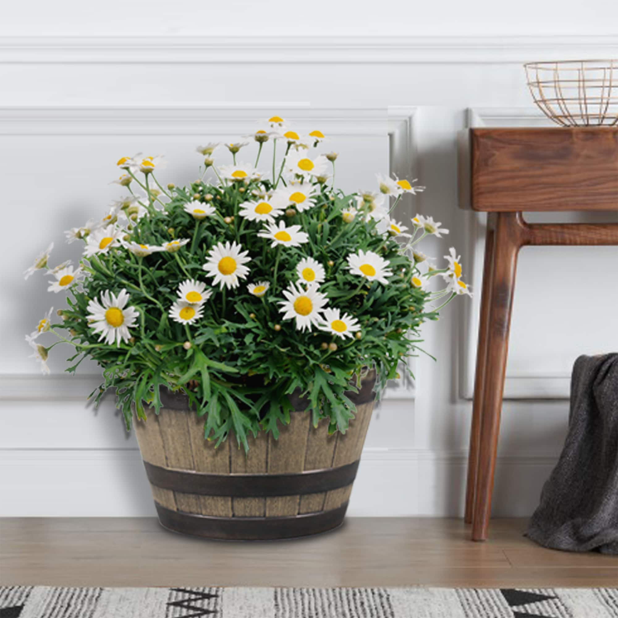 Style Selections PLR0120TK Planter-Window-Box - View #2