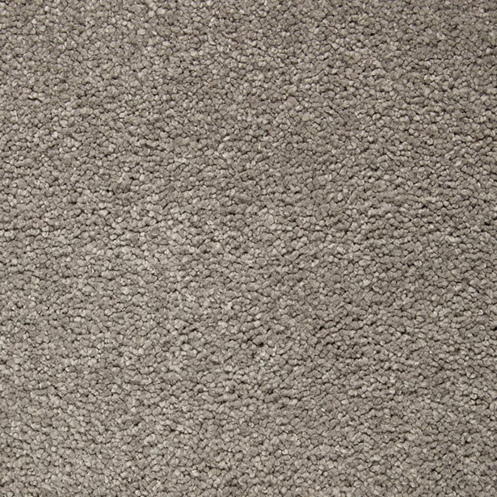 STAINMASTER PetProtect STP56-L013-0808 (Sample) Pawfection New Coin Gray 70-oz sq yard Triexta Textured Indoor Carpet
