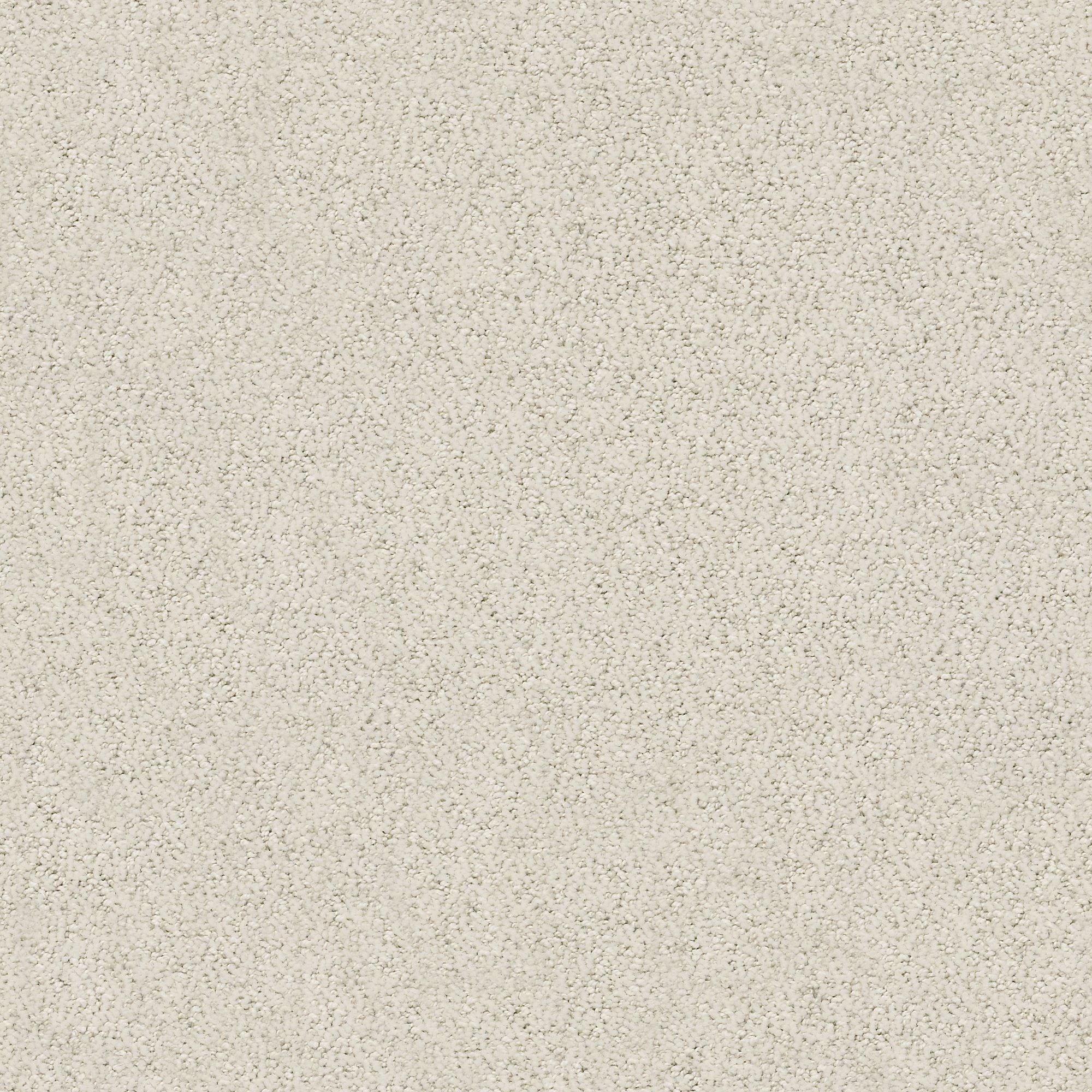 STAINMASTER PetProtect 7L88400102 Happy Tails Soft Linen Off-white 29.2-oz sq yard Nylon Pattern Indoor Carpet