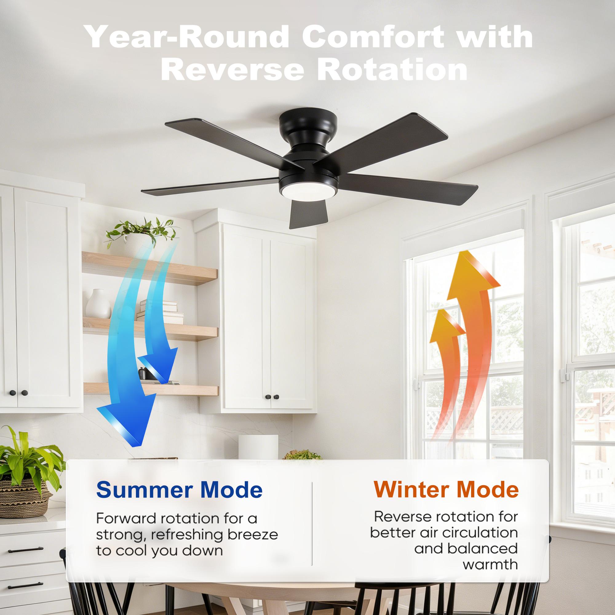 Bayfeve BF-459413-MP Ceiling-Fans - View #7