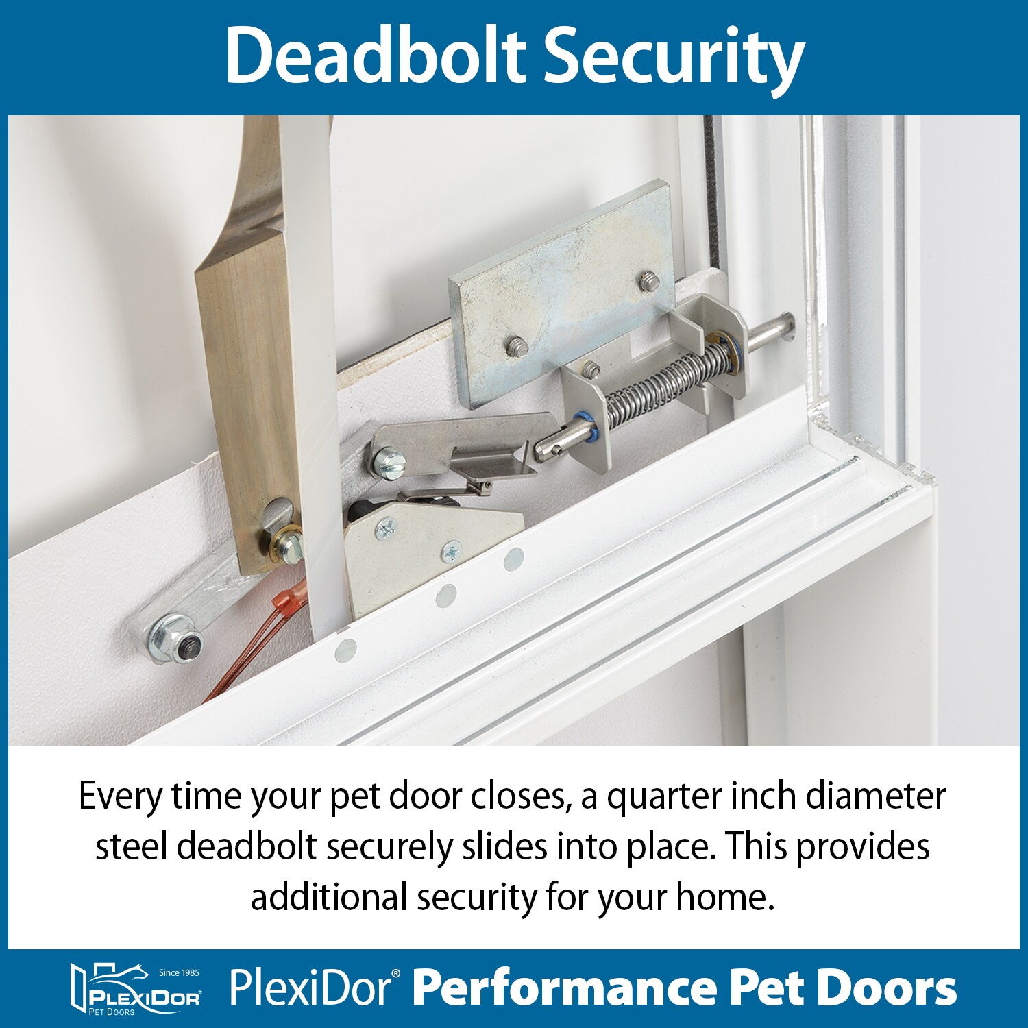 PlexiDor PDE DOOR LG BR Pet-Doors - View #6