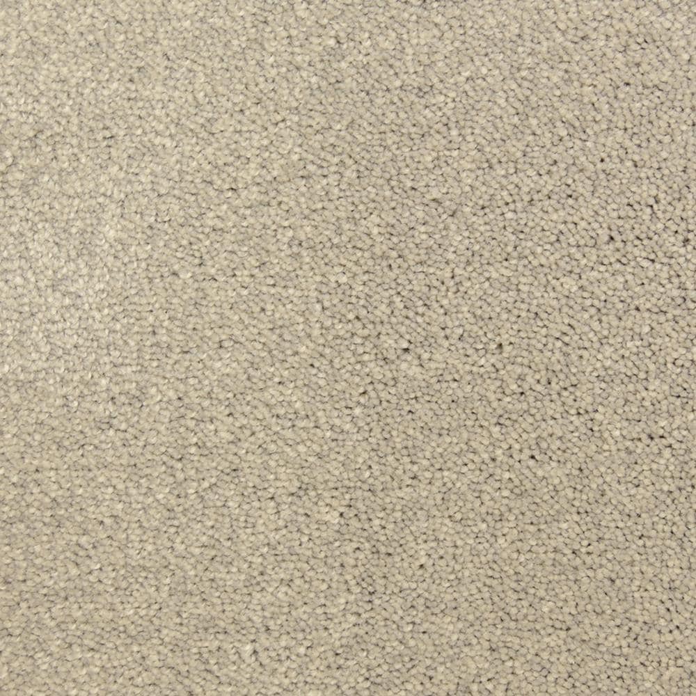 STAINMASTER 6041-311S (Sample) PetProtect Entranced Pagoda Textured Carpet