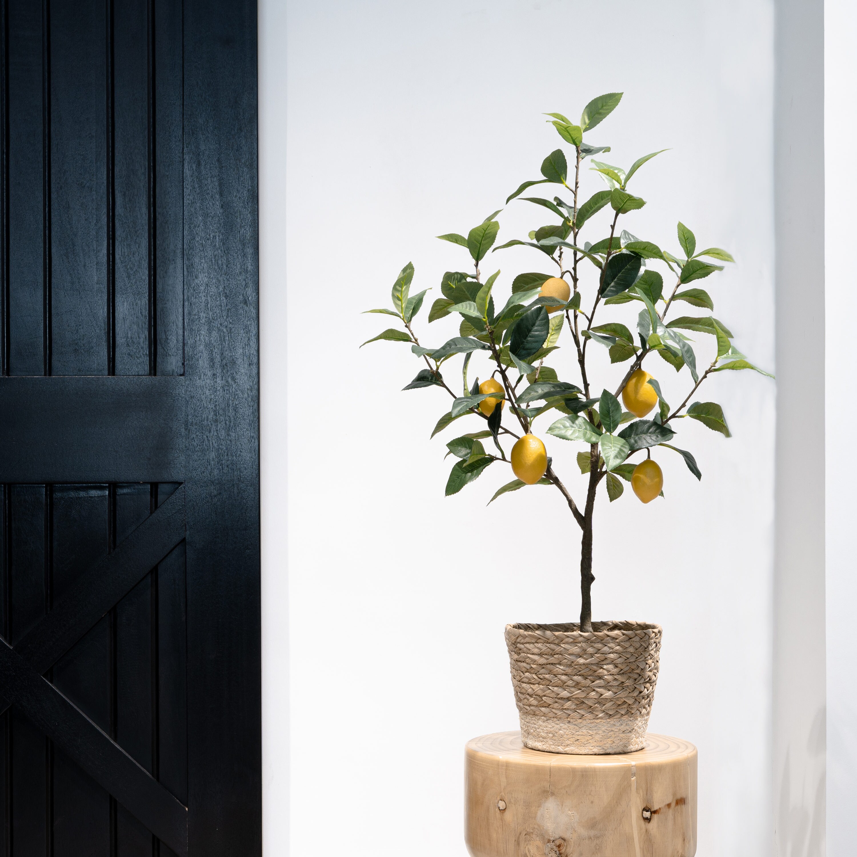 allen + roth 22LOW026 Artificial-Plants-Trees - View #3