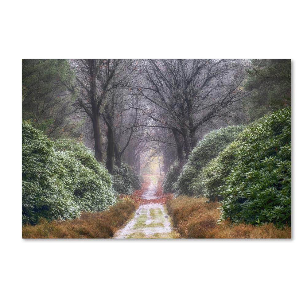 Trademark Fine Art ALI1836-C3047GG Framed 30-Inches H x 47-Inches W Landscape Canvas Print