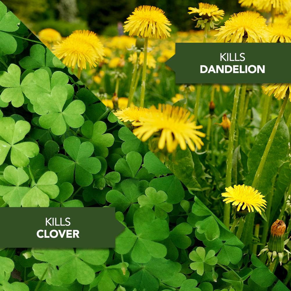 BioAdvanced 705110 Weed-Killers - View #2