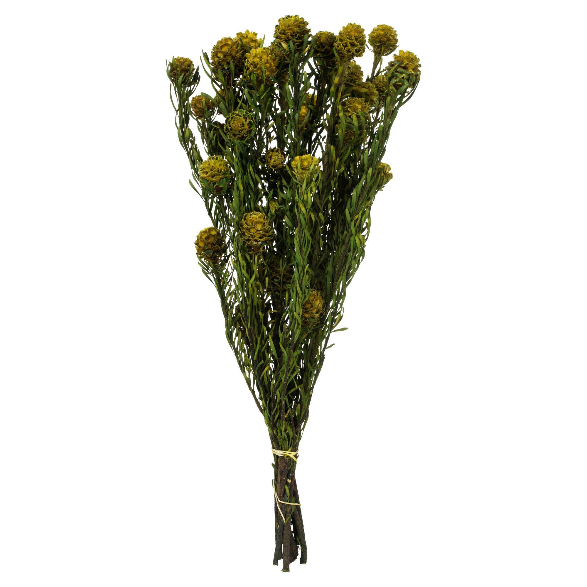 Vickerman H1TOFX700-2 12-in Yellow Indoor Hanging Tortum Artificial Plant