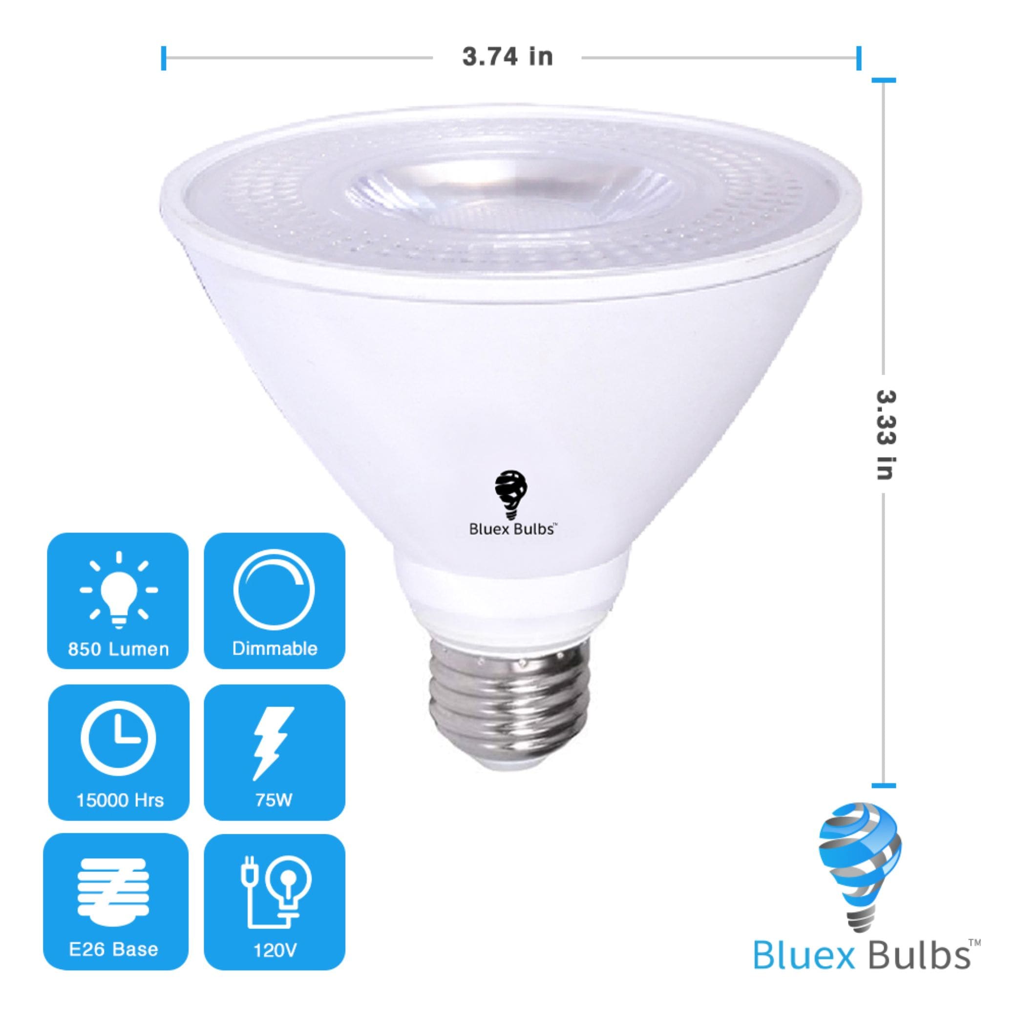 par30 bulb lowes