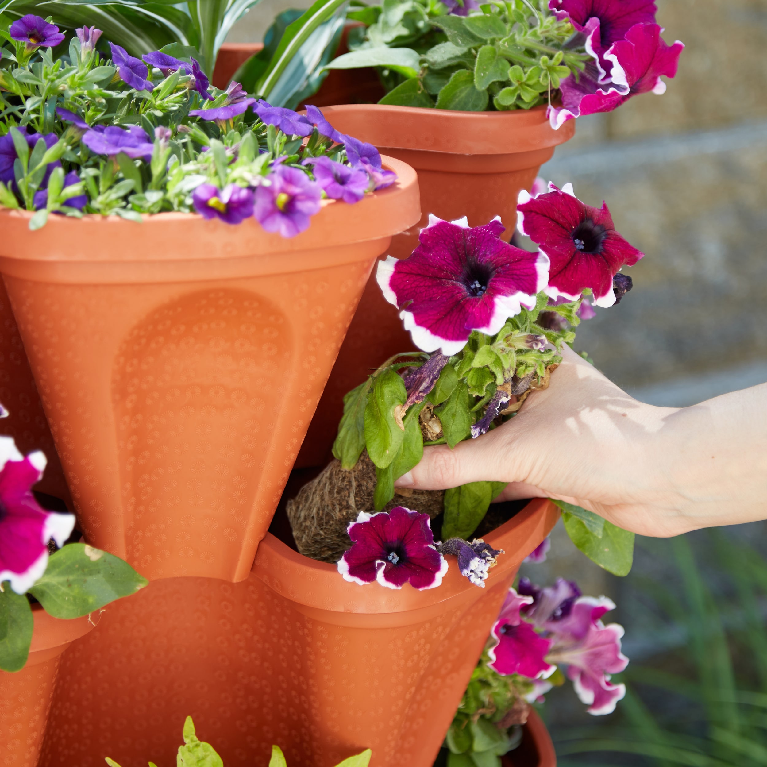 Mr. Stacky 1805 TC Planter-Window-Box - View #6