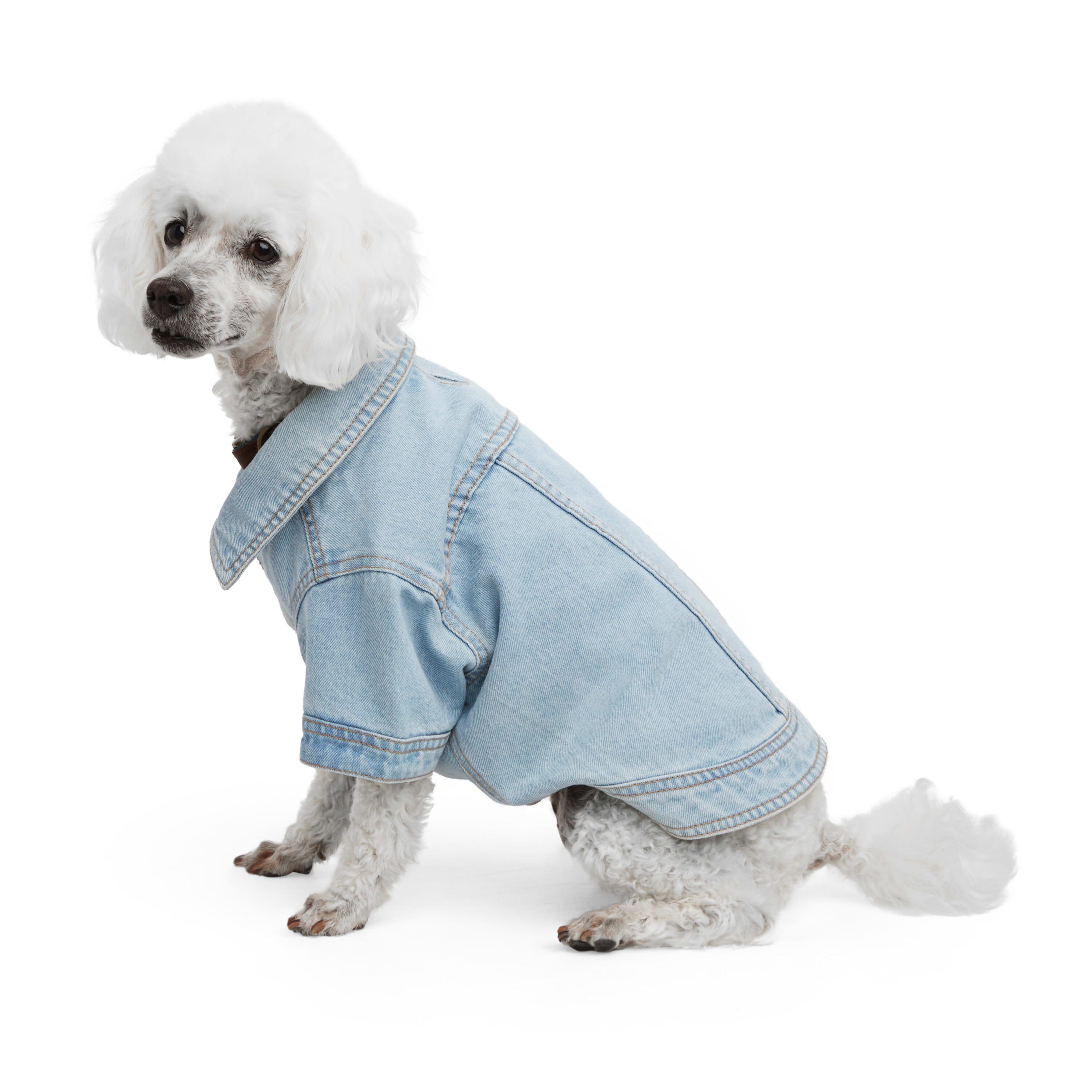 Reddy PTY-22041301LG Dog-Clothing-Acc - View #2