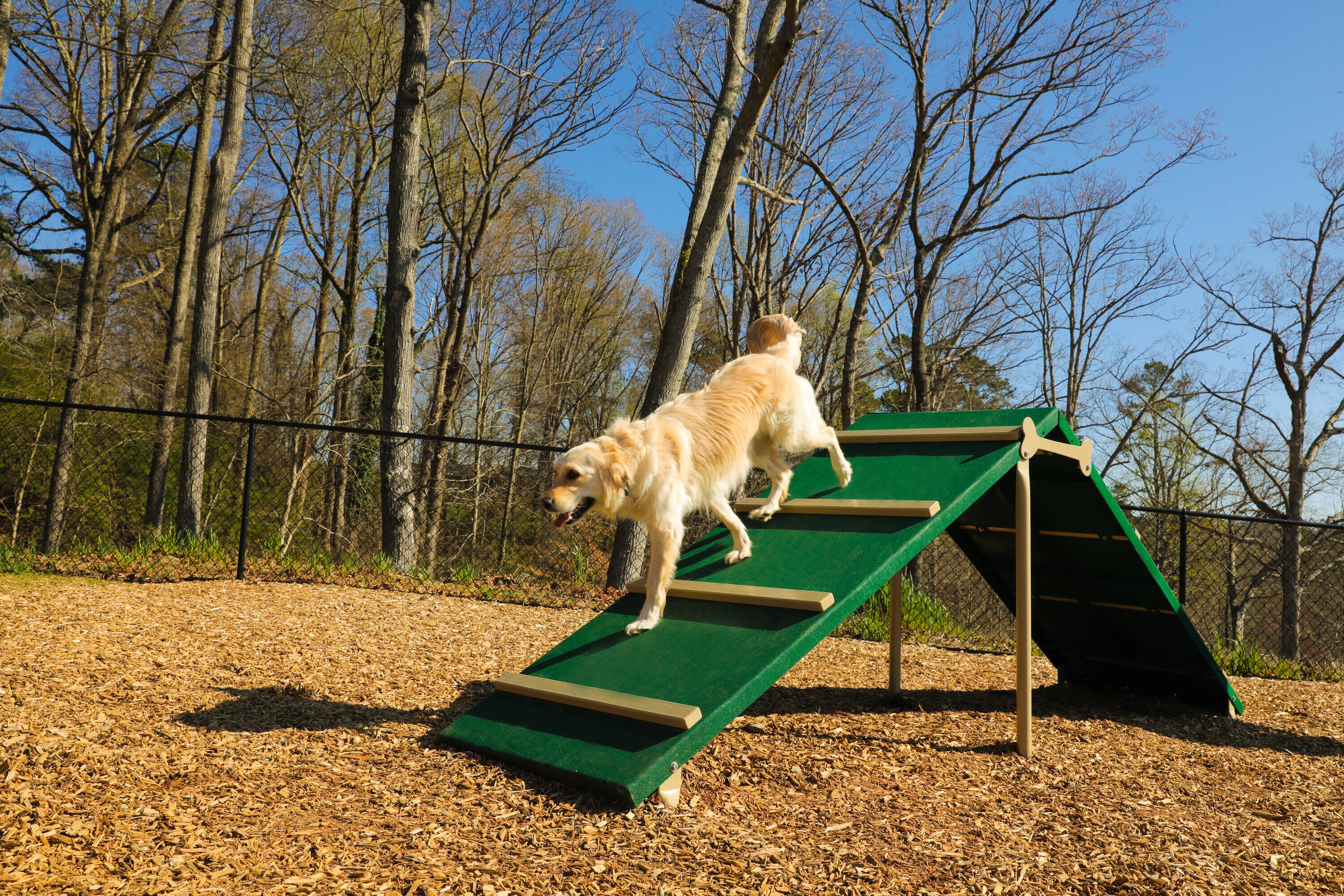 UltraPlay BARK-ITKIT-N Dog-Park-Agility-Course-Kits - View #4