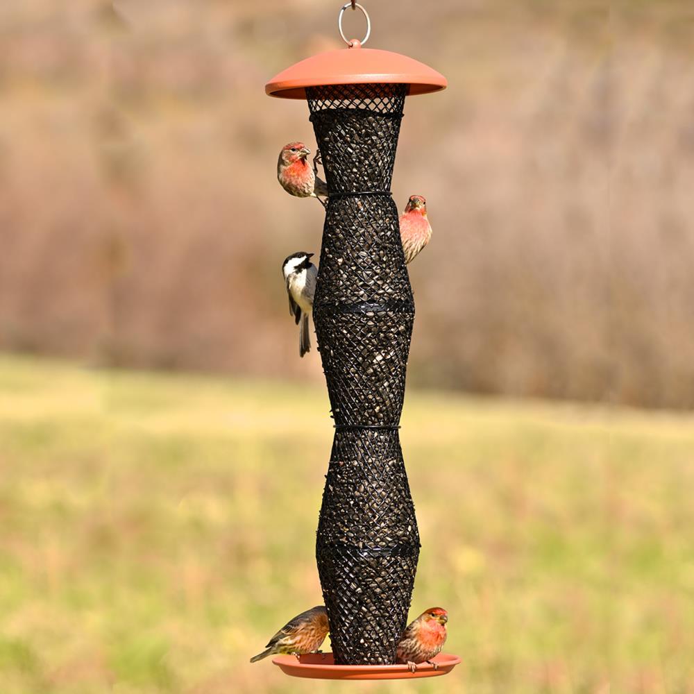 No/No Wild Bird Feeders TCB5S00342 Bird-Feeders - View #4