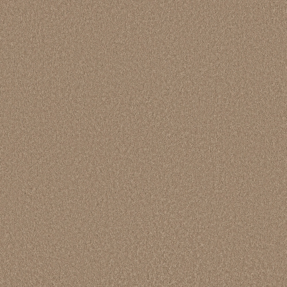 STAINMASTER PetProtect 7L972-700-SAMP (Sample) 8-in x 8-in with LeakDefense Happy Howling III Canoe Brown 82.9-oz sq yard High-performance polyester Textured Indoor Carpet