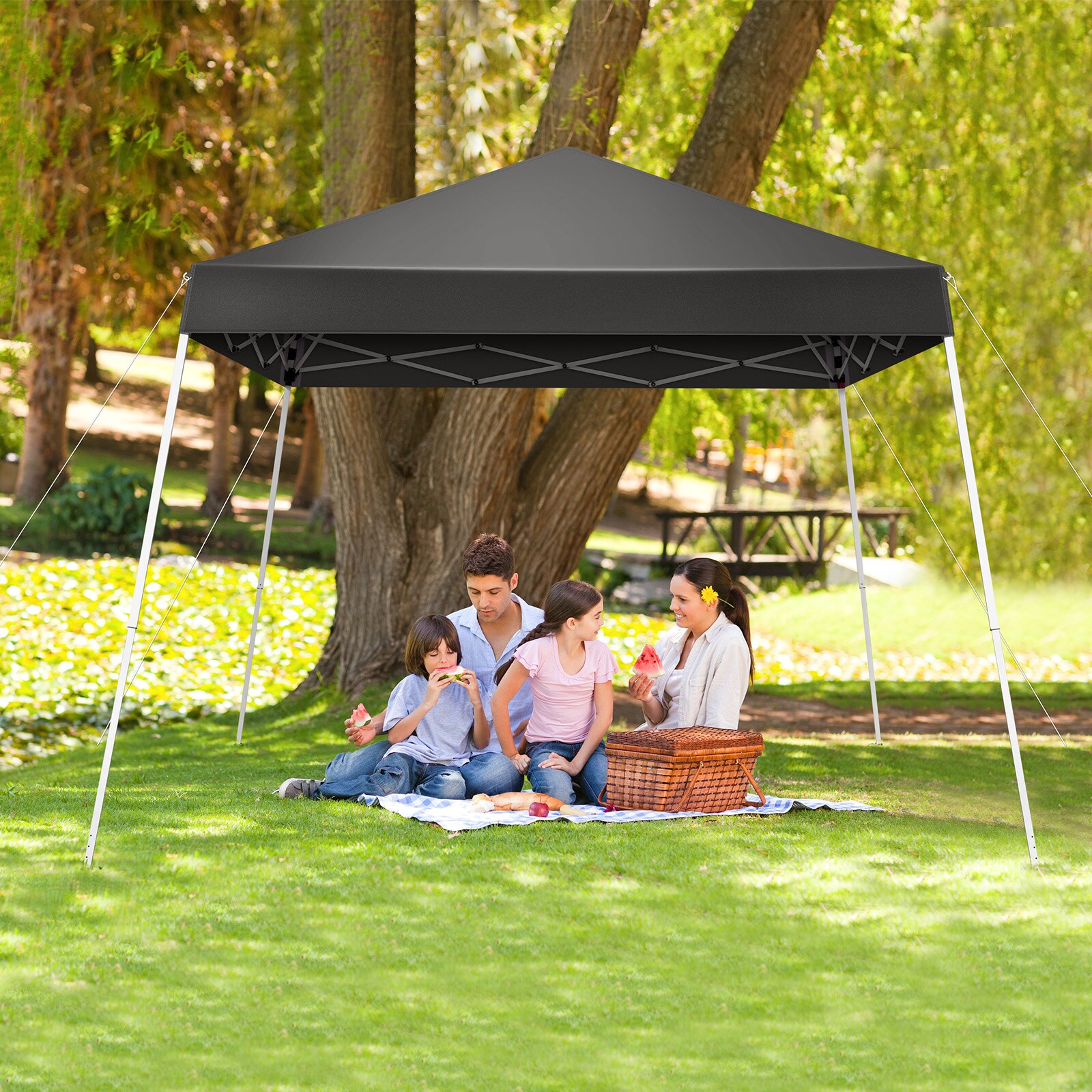 Winado LO1G58000335 Canopies-Sl - View #8