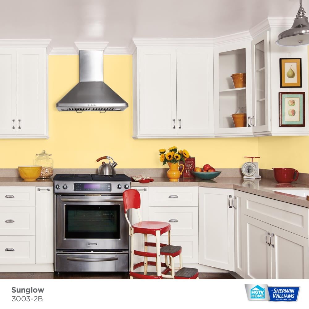 HGTV HOME by Sherwin-Williams 3003-2B-2557207 Int-Ext-Paint - View #2