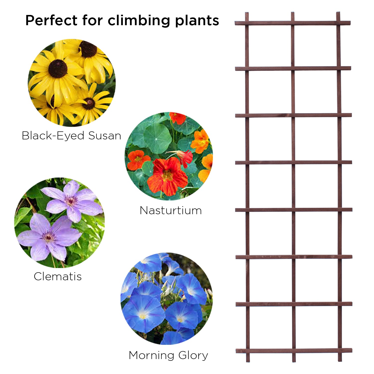  81908L Garden-Trellis - View #5