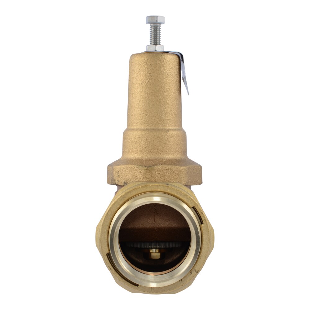 Cash Acme PVA54M-DUTH-60 Pressure-Relief-Valves-Regulators - View #2