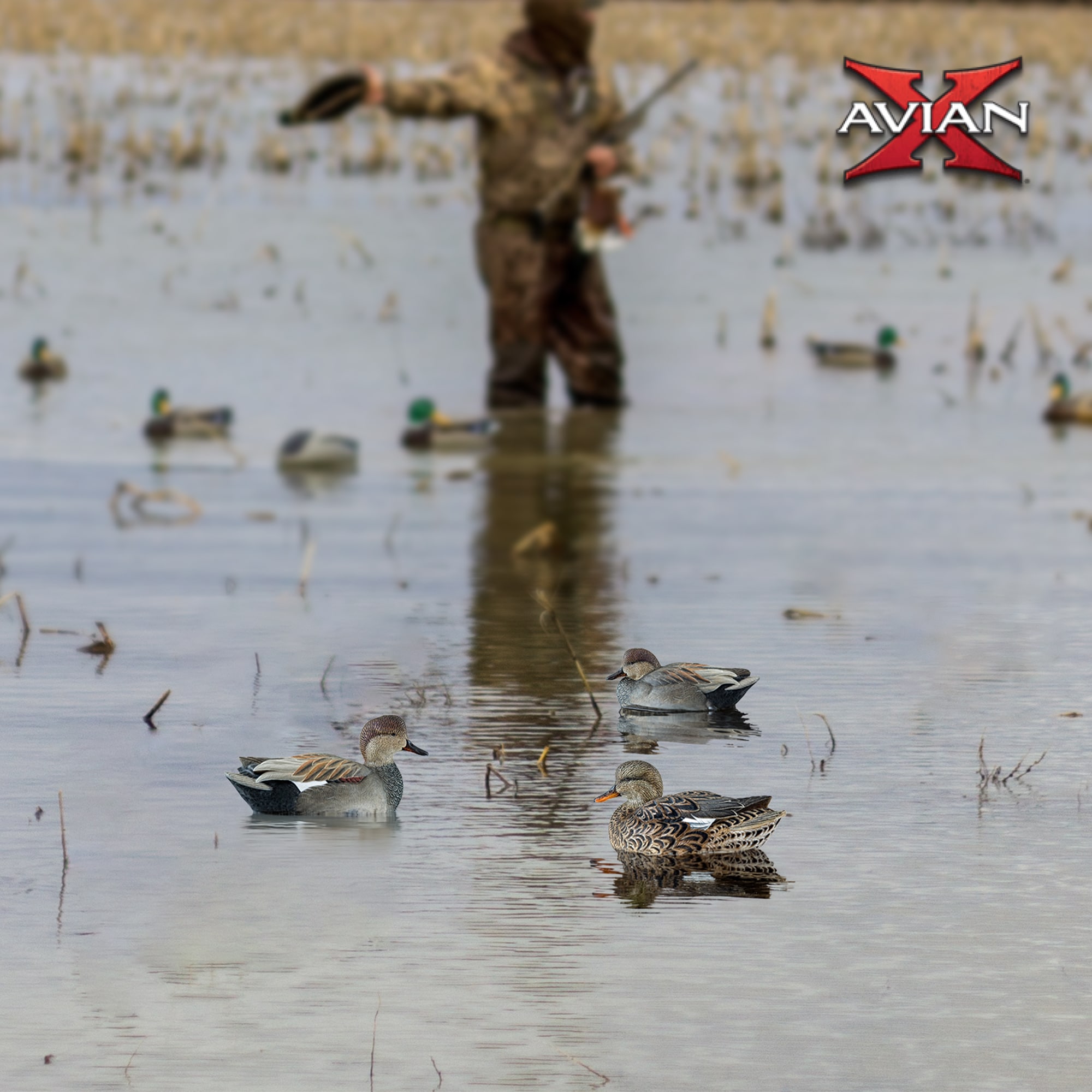  Avian X 399272 Hunting-Equipment - View #7