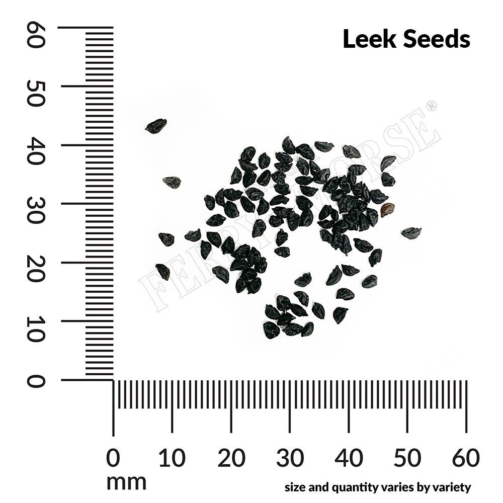 Ferry-Morse LC25.7381 Vegetable-Herb-Seeds - View #4