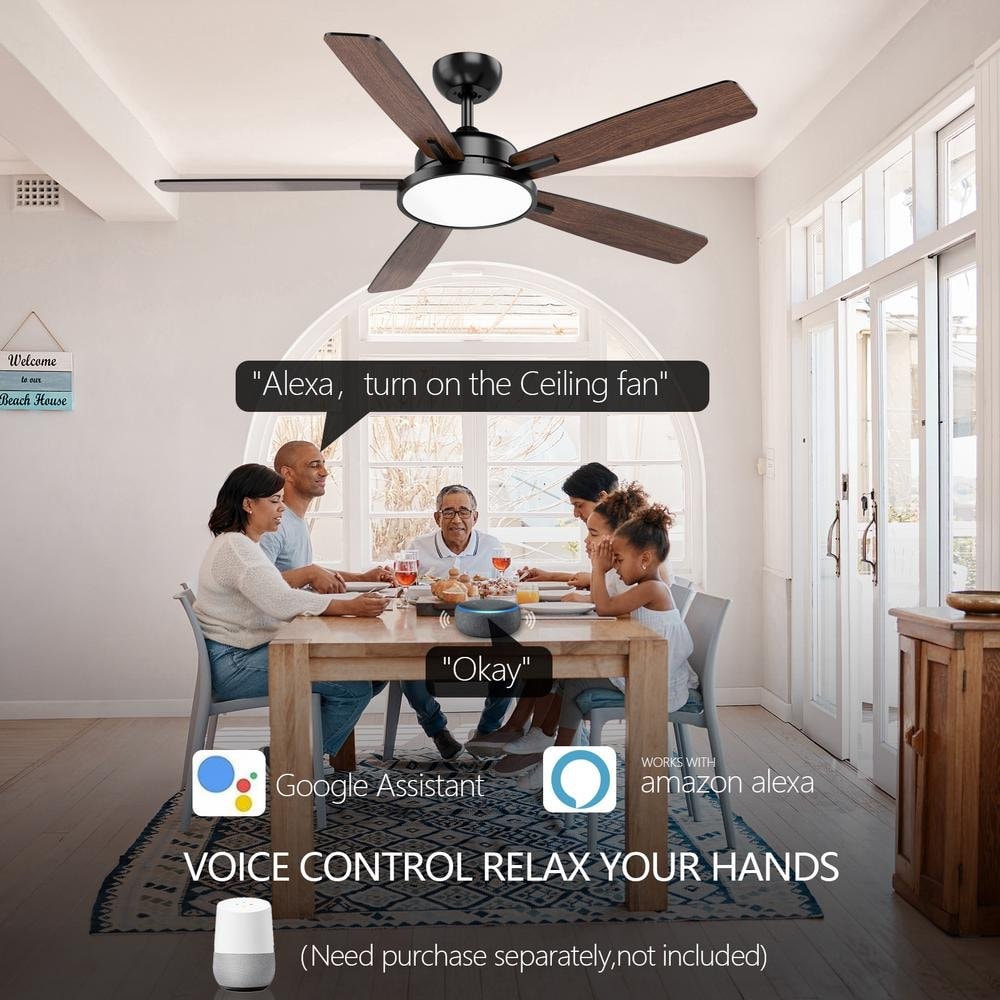 TALOYA RV52-BK-5D-T5-2 Ceiling-Fans - View #4