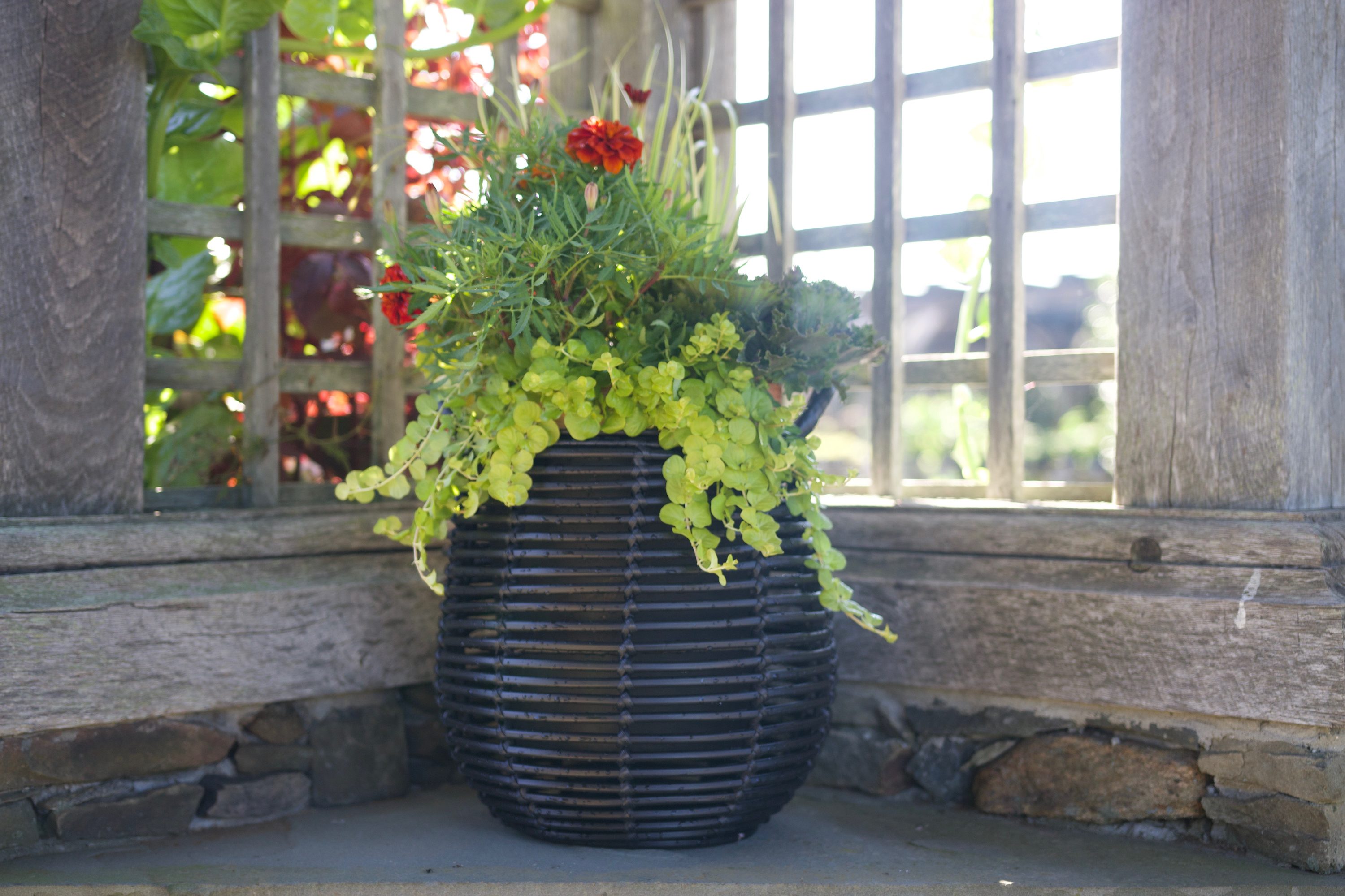 Origin 21 1340722P2LO Planter-Window-Box - View #13