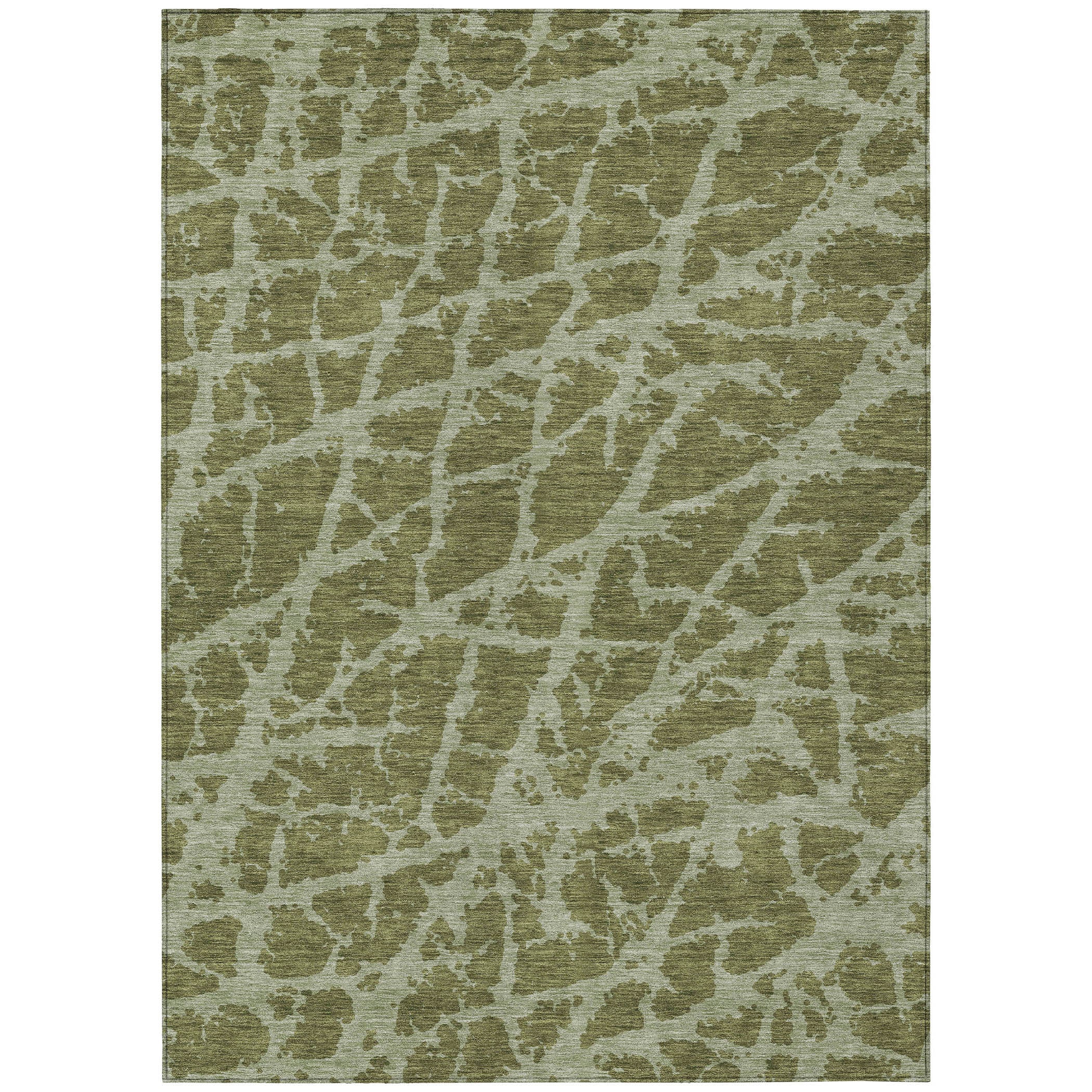 Addison Rugs ACN501OL30X46 rugs - View #2