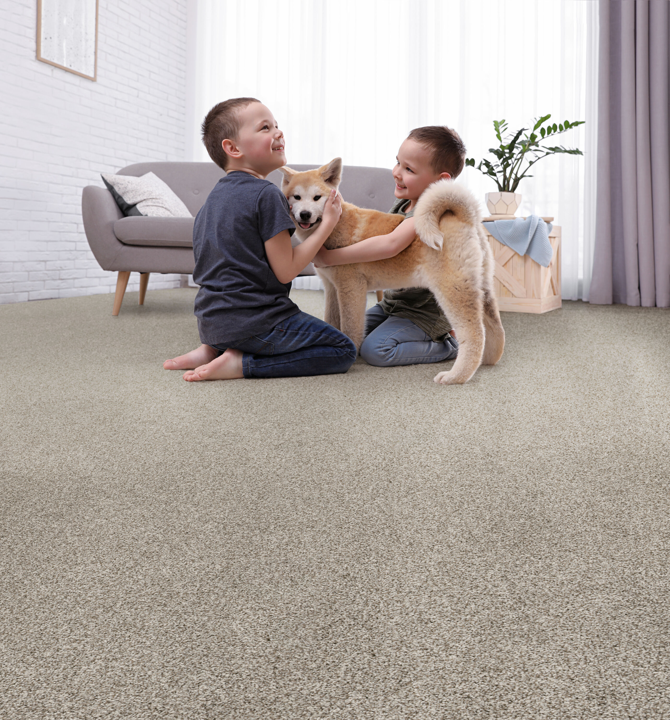 STAINMASTER PetProtect 7L85800534 Carpet-Panel - View #5