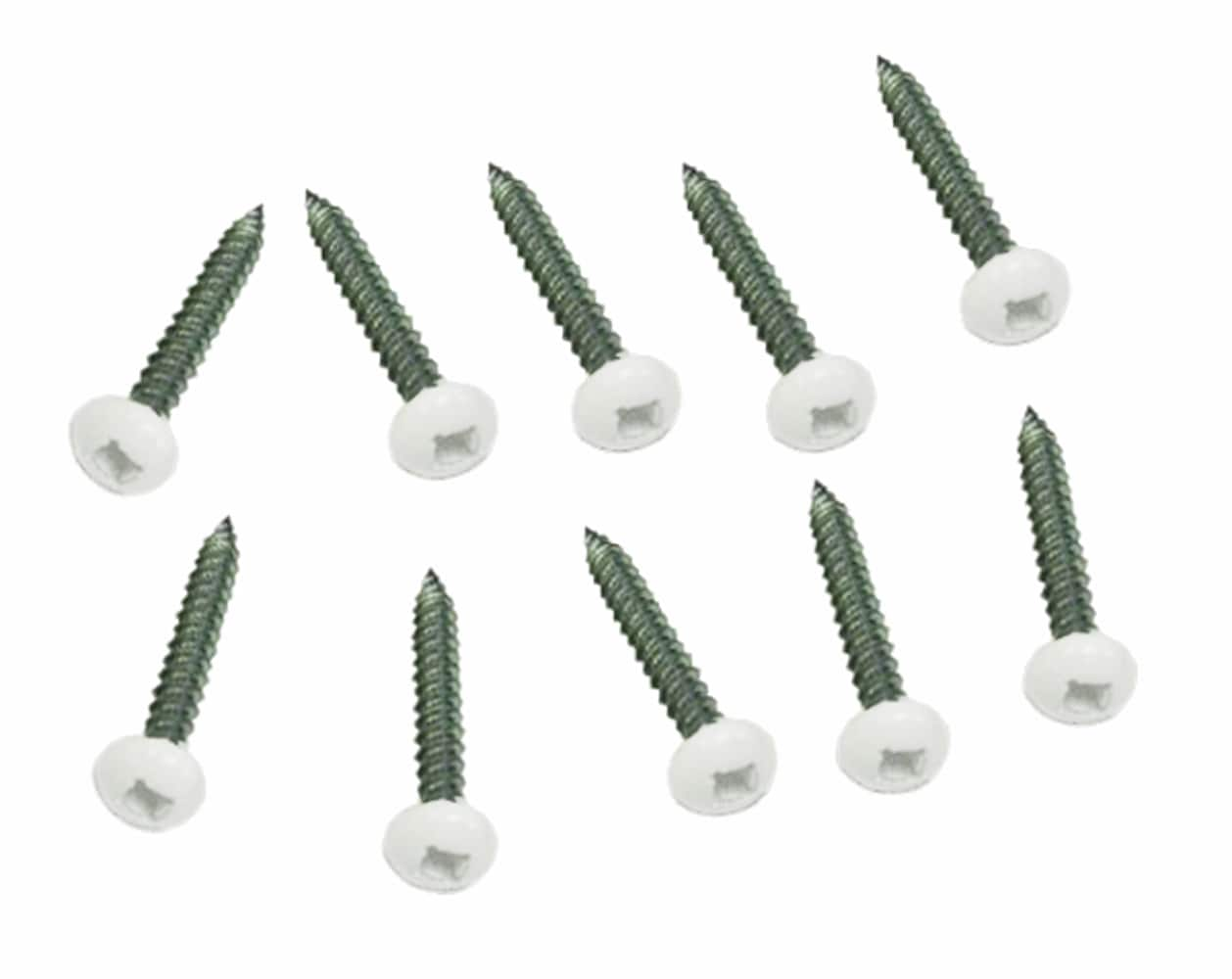  White Screws