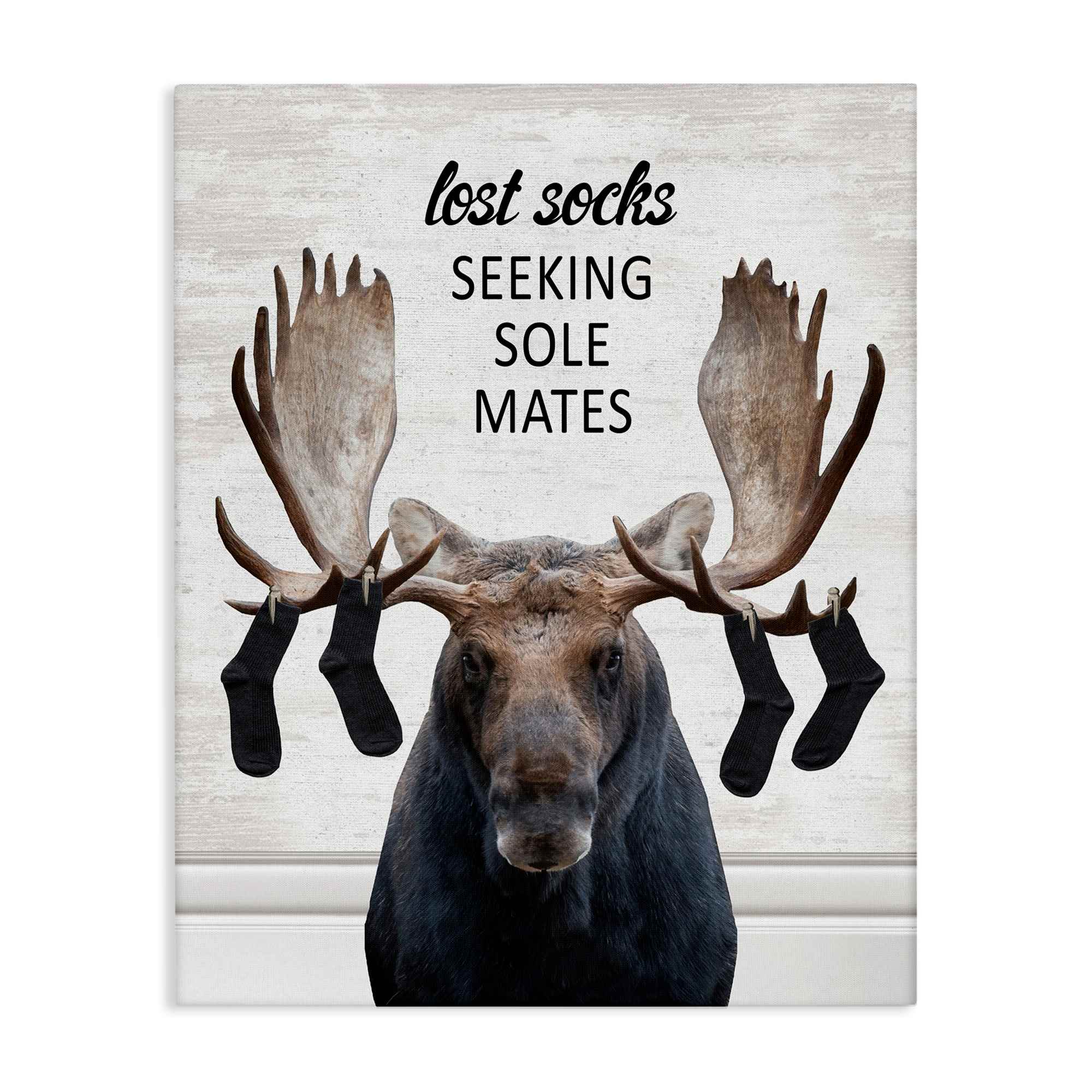 Stupell Industries BS-913-CN-36X48 Lost Socks Seeking Sole Mates Canvas Wall Art By Lettered and Lined 36 x 48