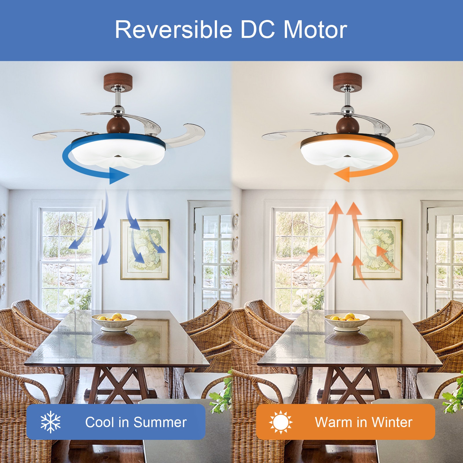 Dovanpaul 235-42A-BR Ceiling-Fans - View #5