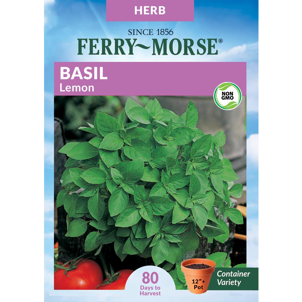 Ferry Morse 375 mg Basil Lemon Herb Seed Packet at Lowes