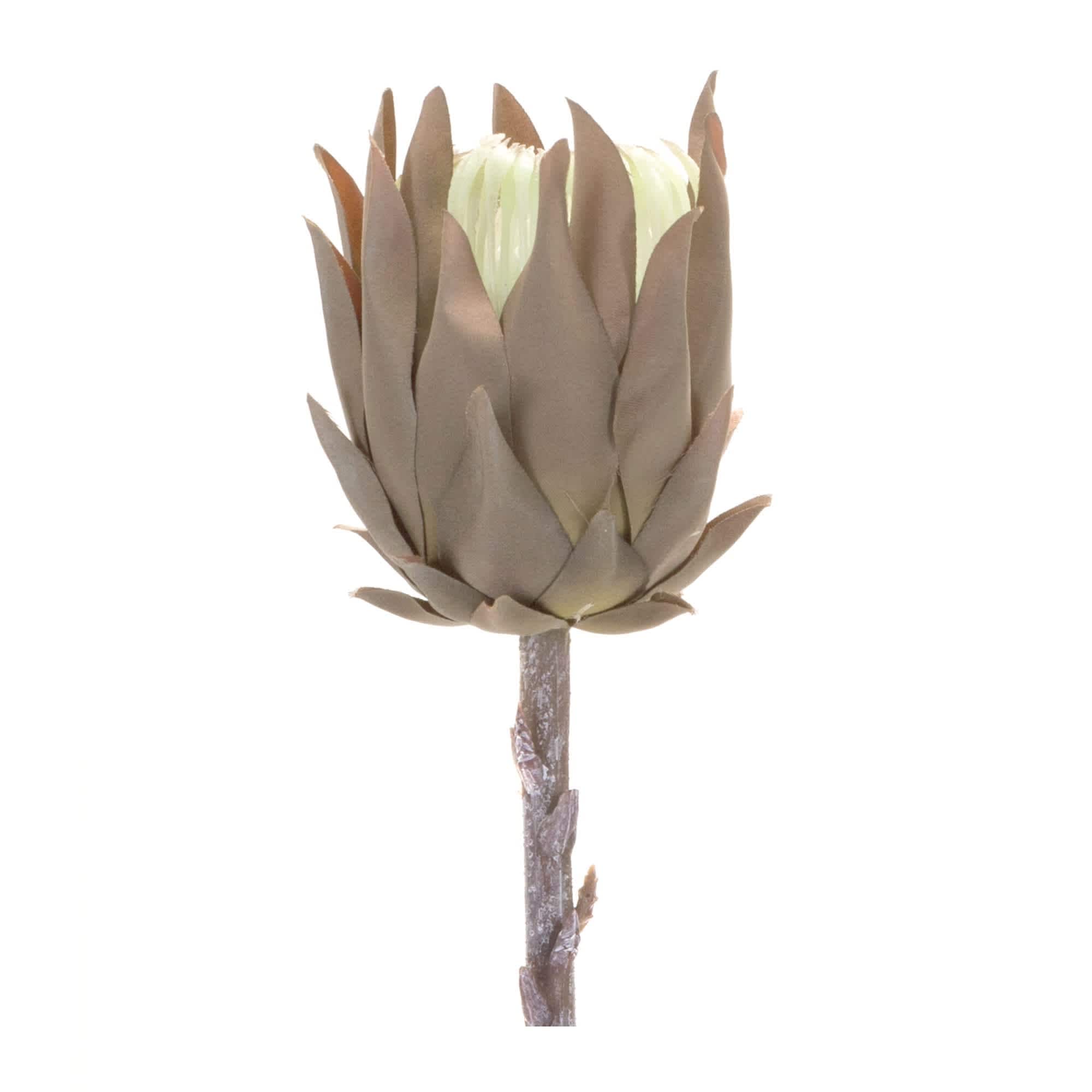 Melrose International 85655DS Artificial-Plants-Trees - View #3