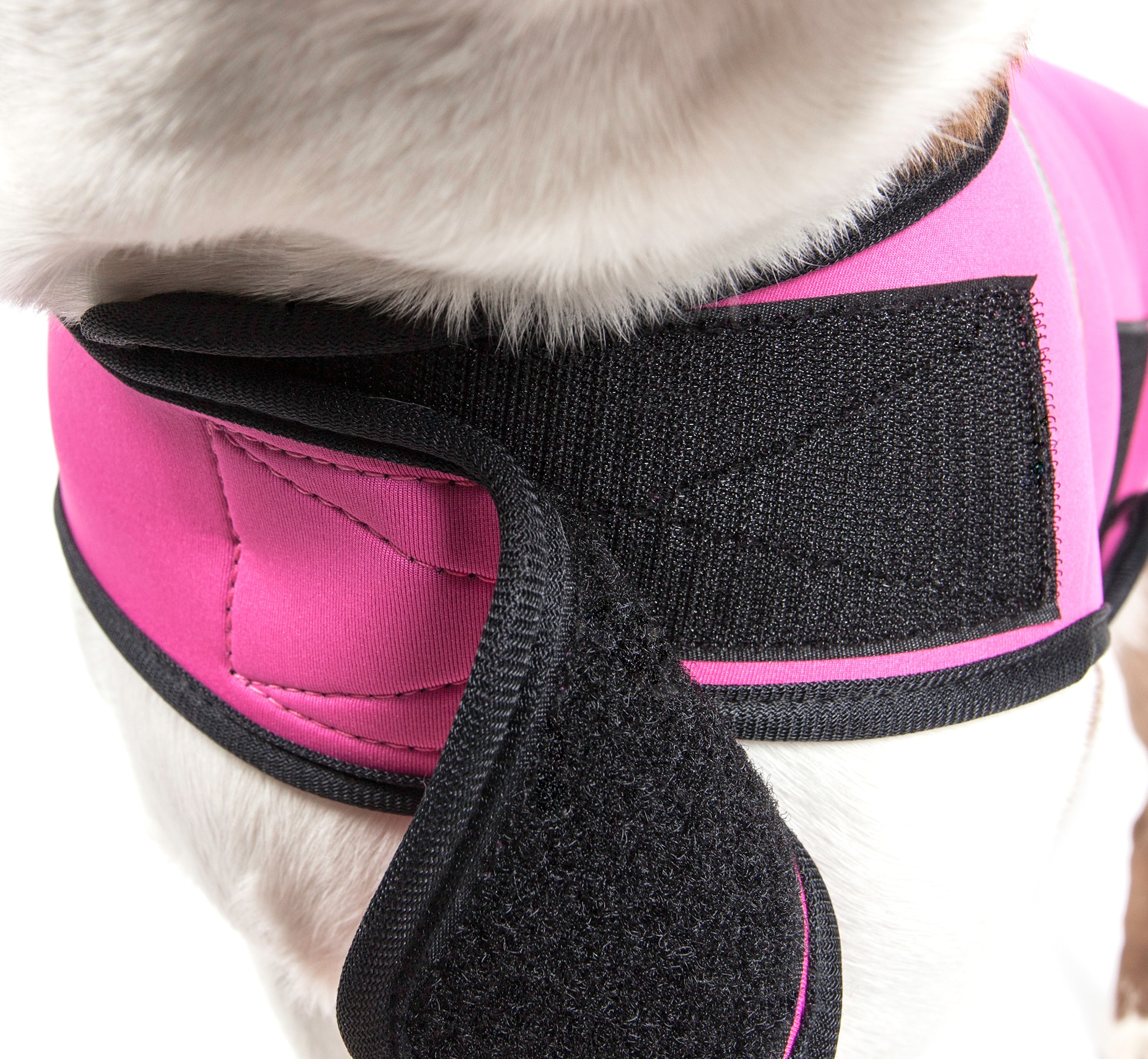 Pet Life 36PKLG Dog-Apparel - View #4