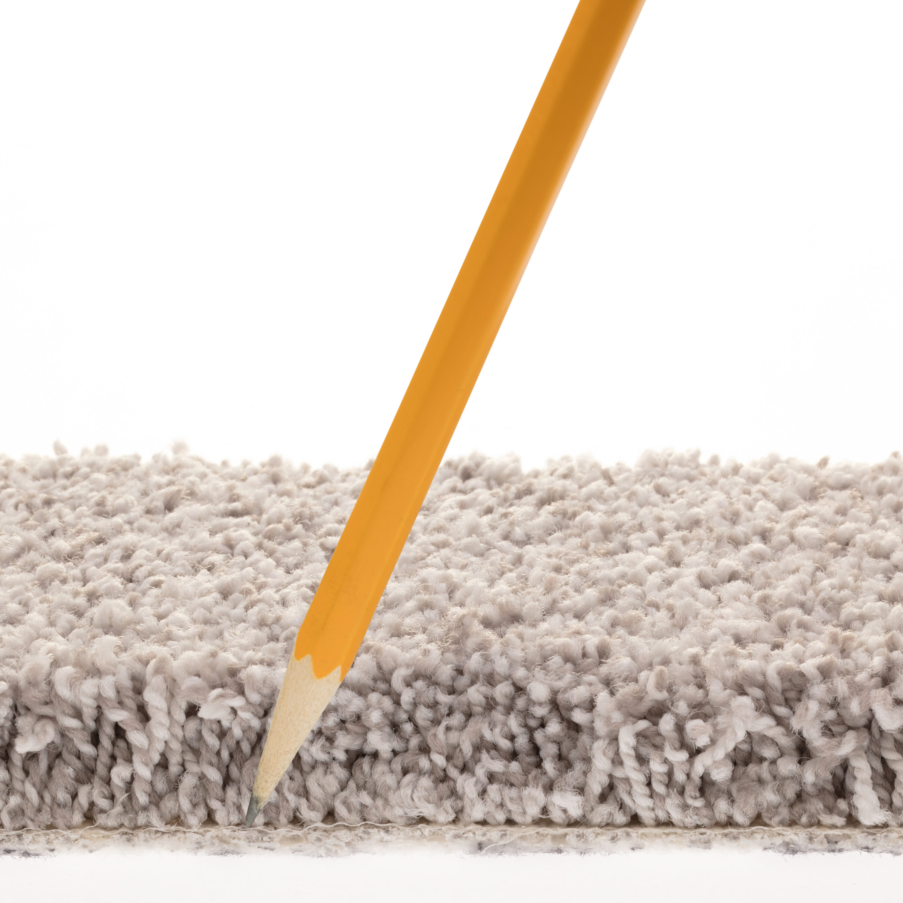 STAINMASTER PetProtect 7L87800512 Carpet-Panel - View #7