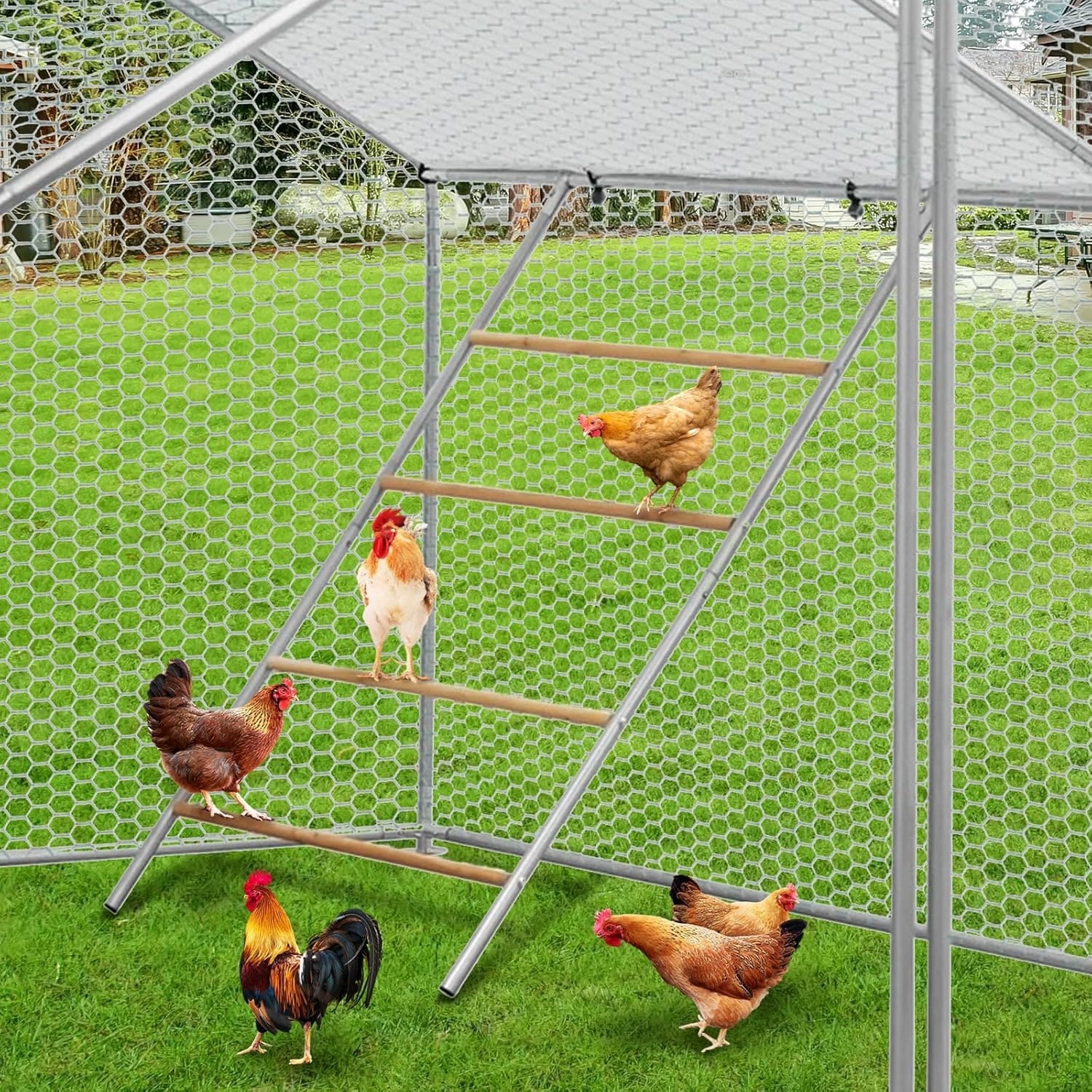 GarveeLife 55inL x 40inW Inch Chickens Roosting Bars for Coop
