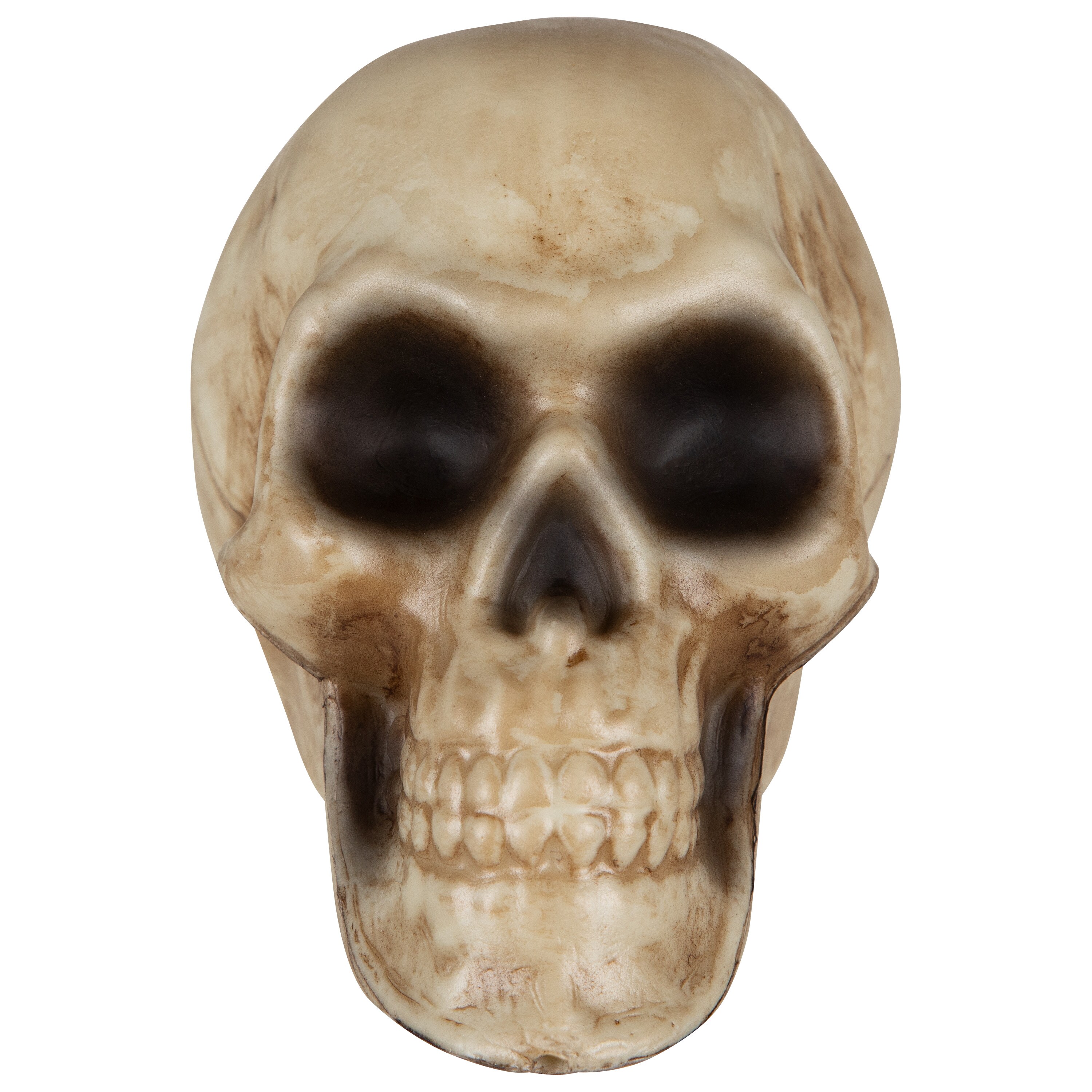Haunted Living 553957 Table-Halloween-Decor - View #3