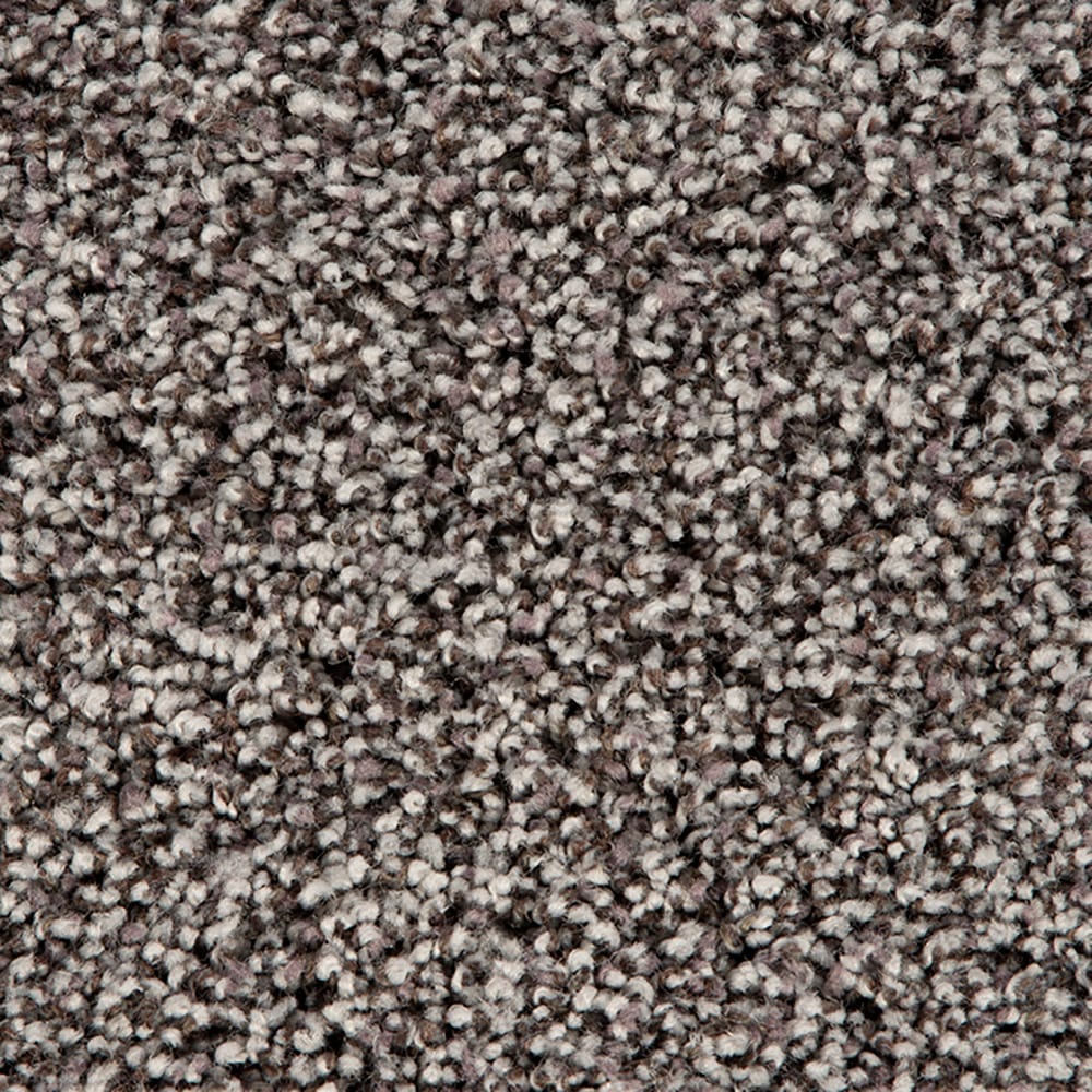 STAINMASTER STP52-12-L005 Refined Balance I Greenwich Gray 50-oz sq yard Polyester Textured Indoor Carpet