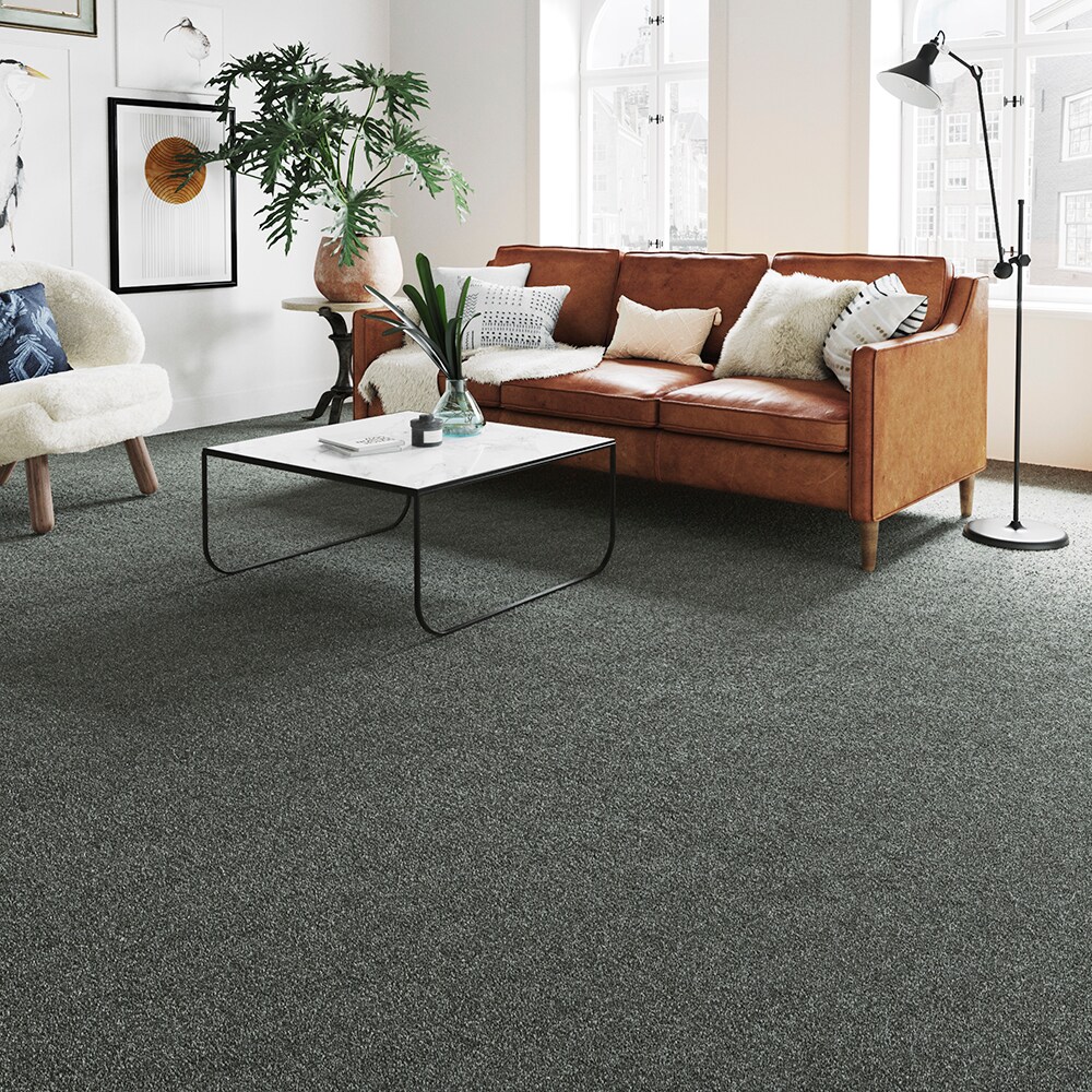 STAINMASTER STP58-L006-0808 Carpet-Samples - View #3
