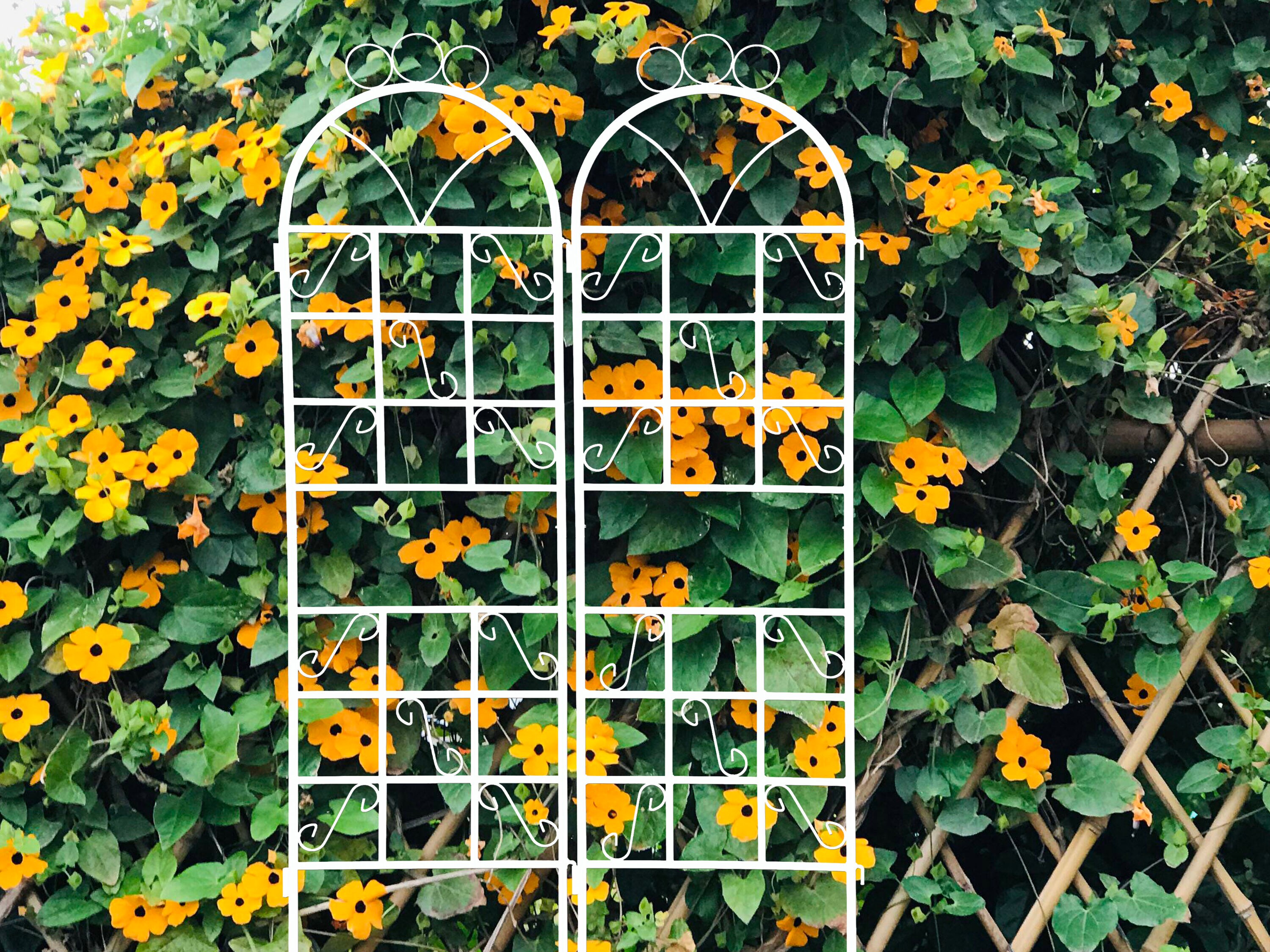 Kahomvis WS-QPT2-050 Garden-Trellis - View #4