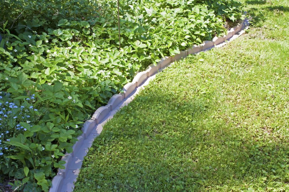 EMSCO GROUP 2037HD edging - View #3