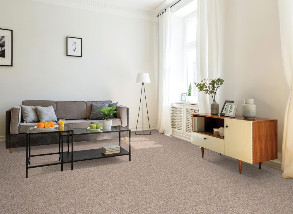  LU131-9513B Carpet-Samples - View #3