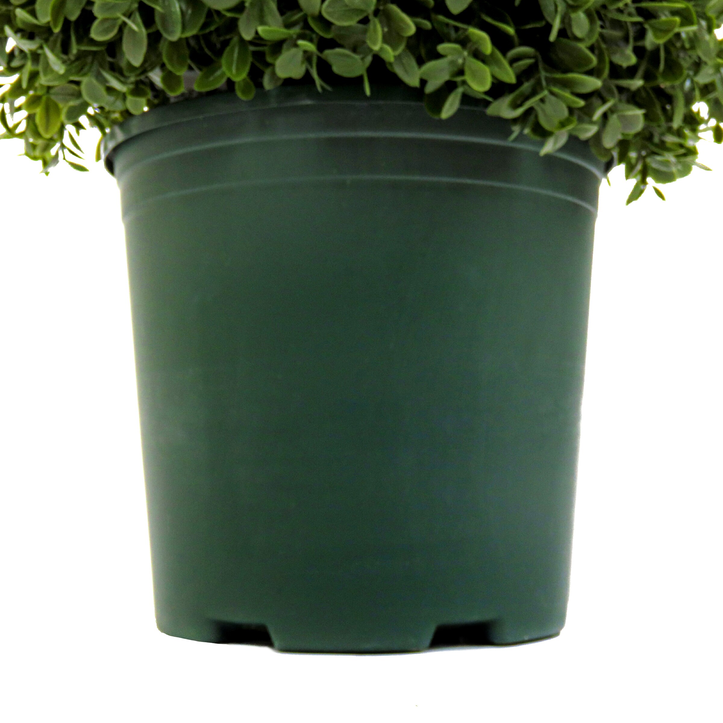 National Tree Company LBXM63-800-44U Artificial-Plants-Trees - View #3