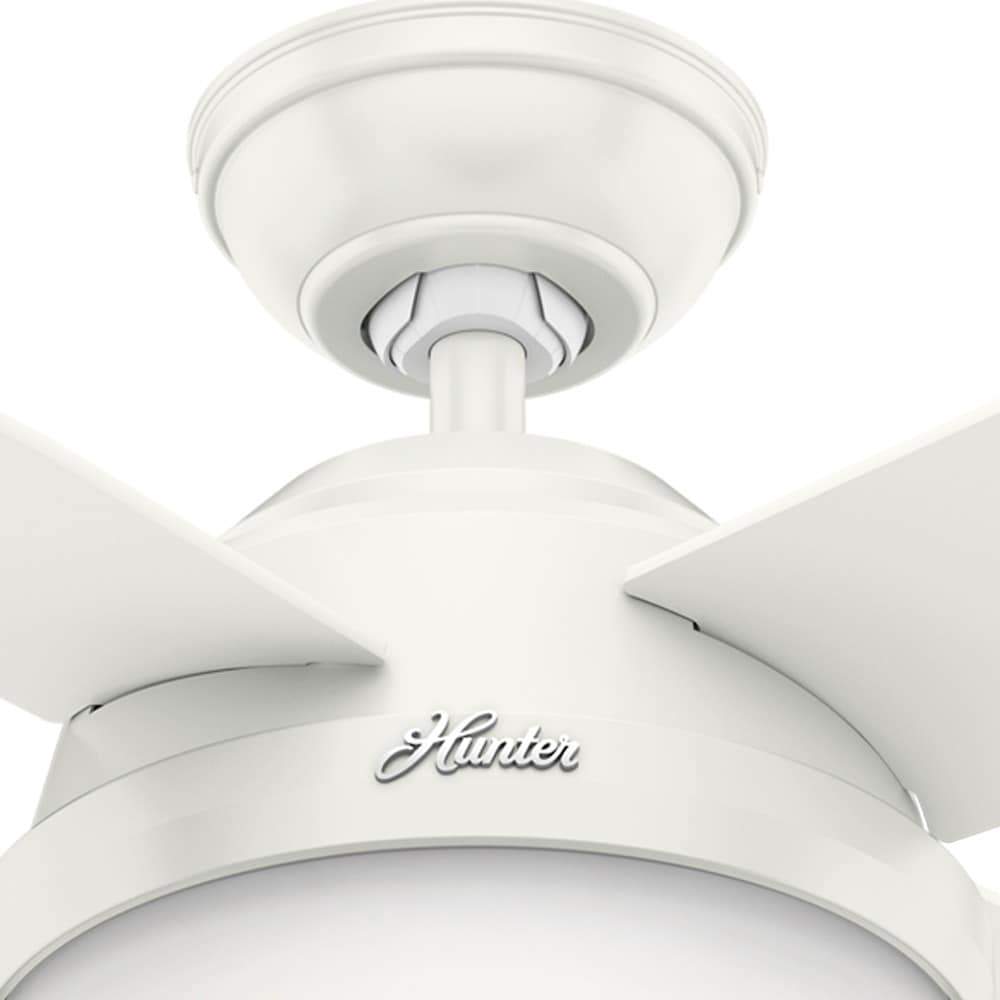 Hunter 59246 Ceiling-Fans - View #15